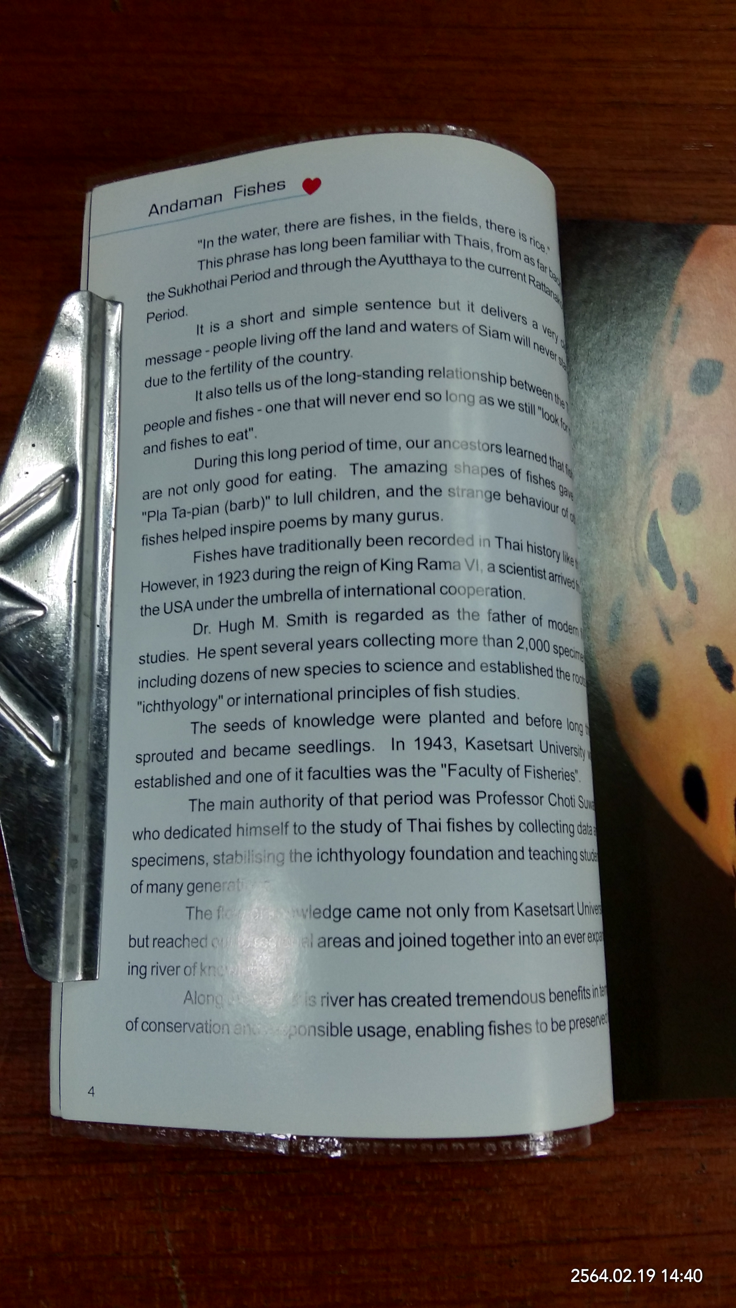 Coral Fish of Thailand / Thon Thamrongnawasawat,Anuwat Saisaeng