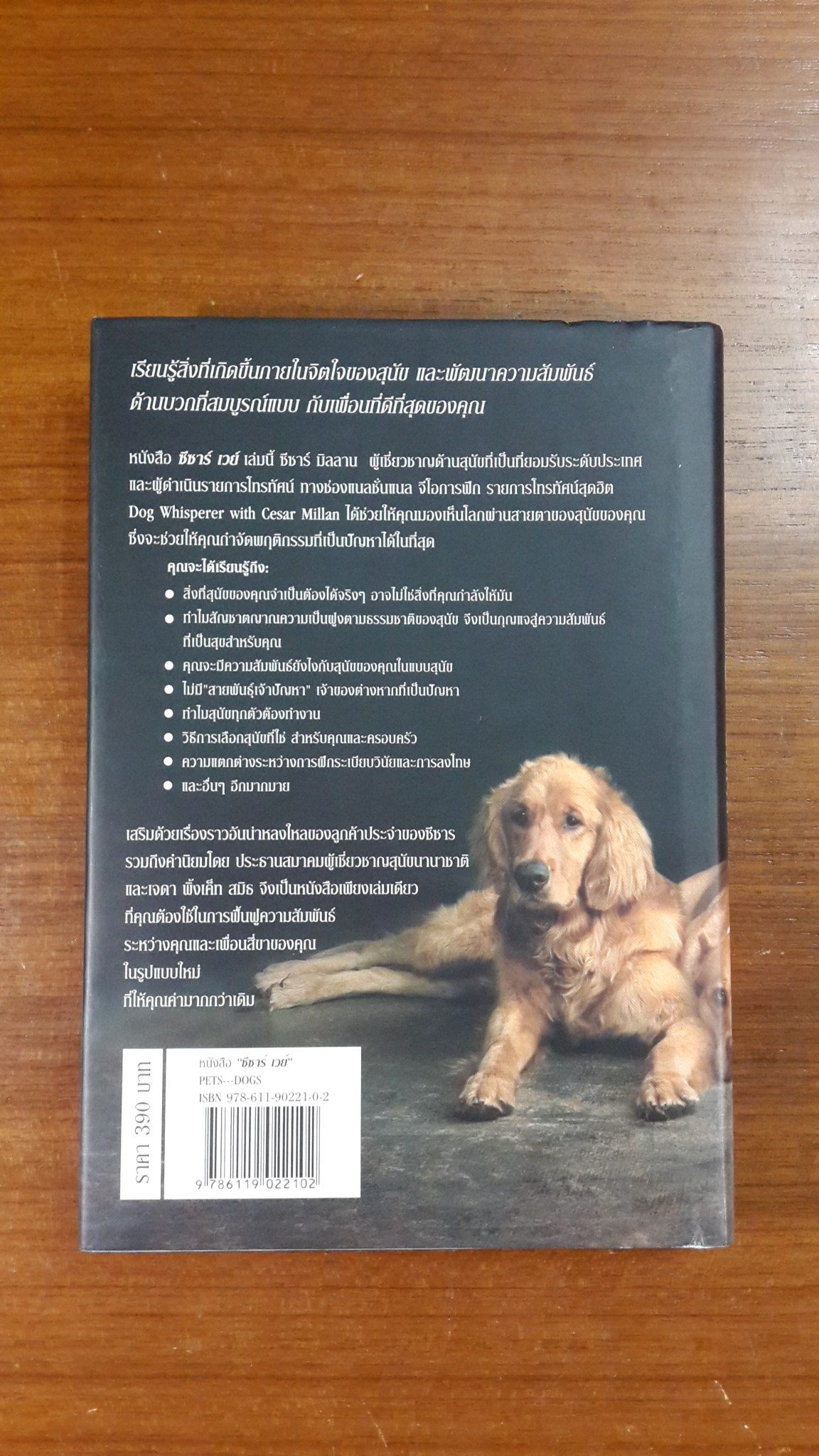 ซีซาร์ เวย์ / ซีซาร์ มิลลาน