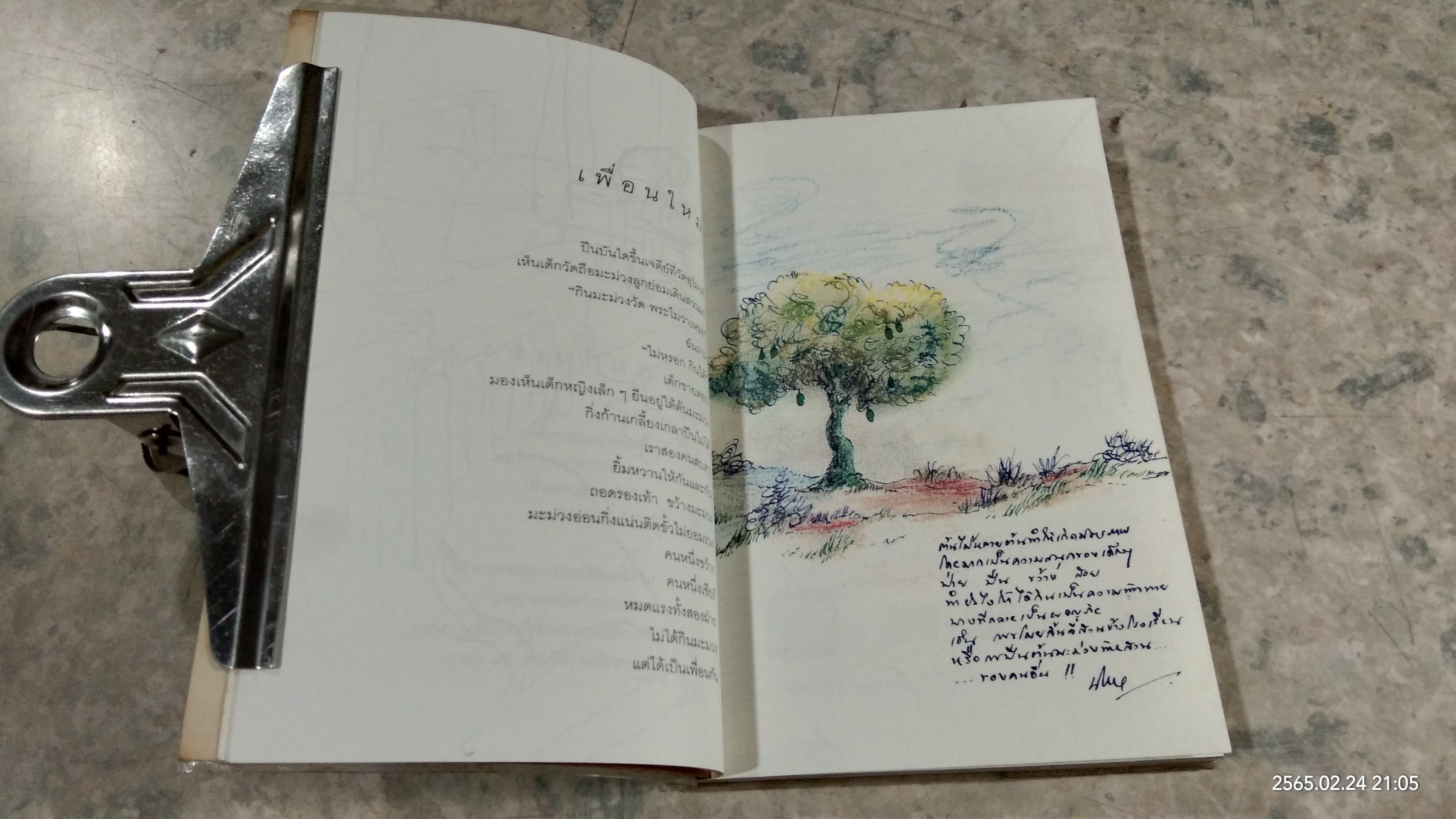 บันทึกในแสงแห่งตะวัน / นิรมล เมธีสุวกุล