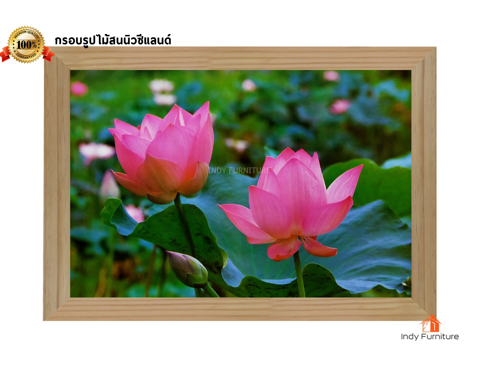 กรอบรูปไม้สนนิวซีแลนด์ ภาพดอกบัว ขนาด 81x56ซม. (849)