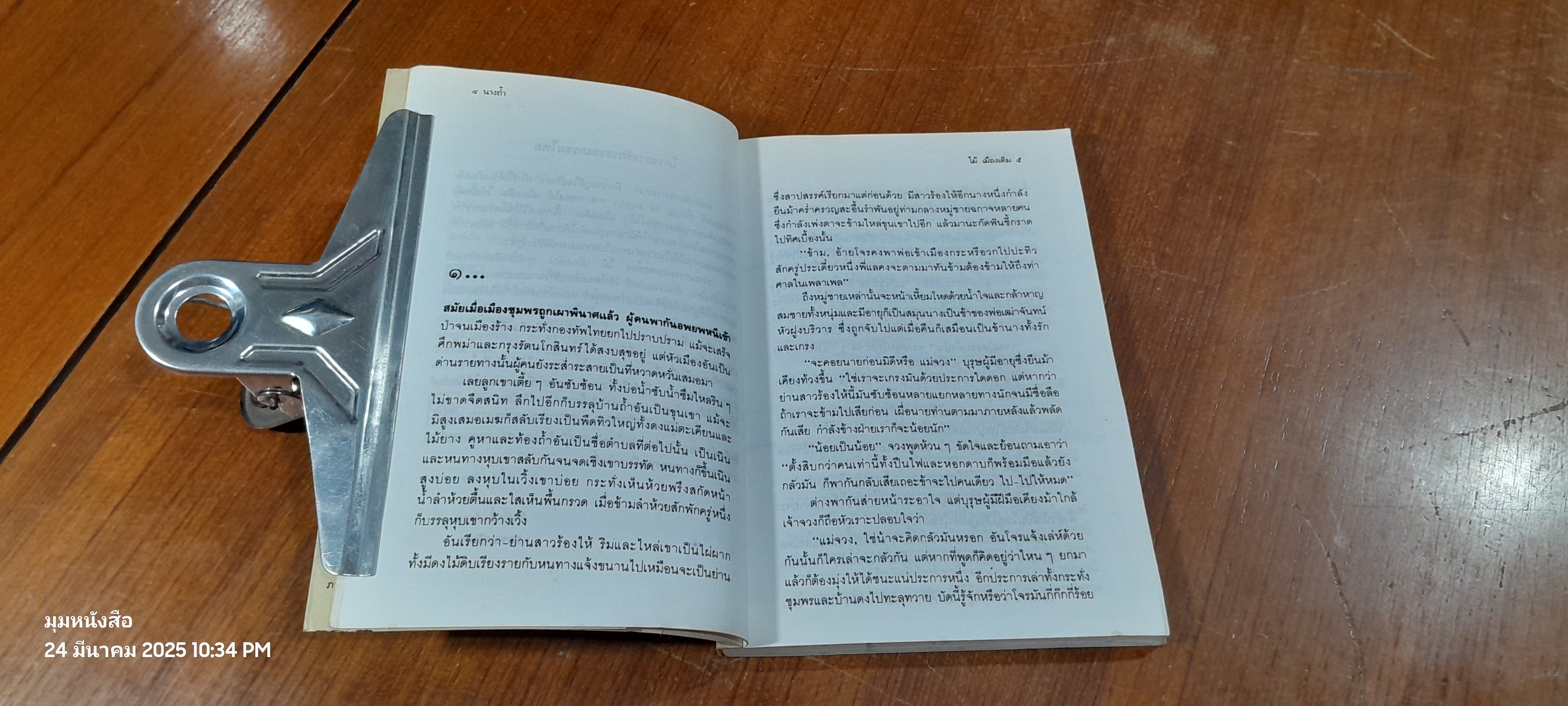 นางถ้ำ / ไม้ เมืองเดิม