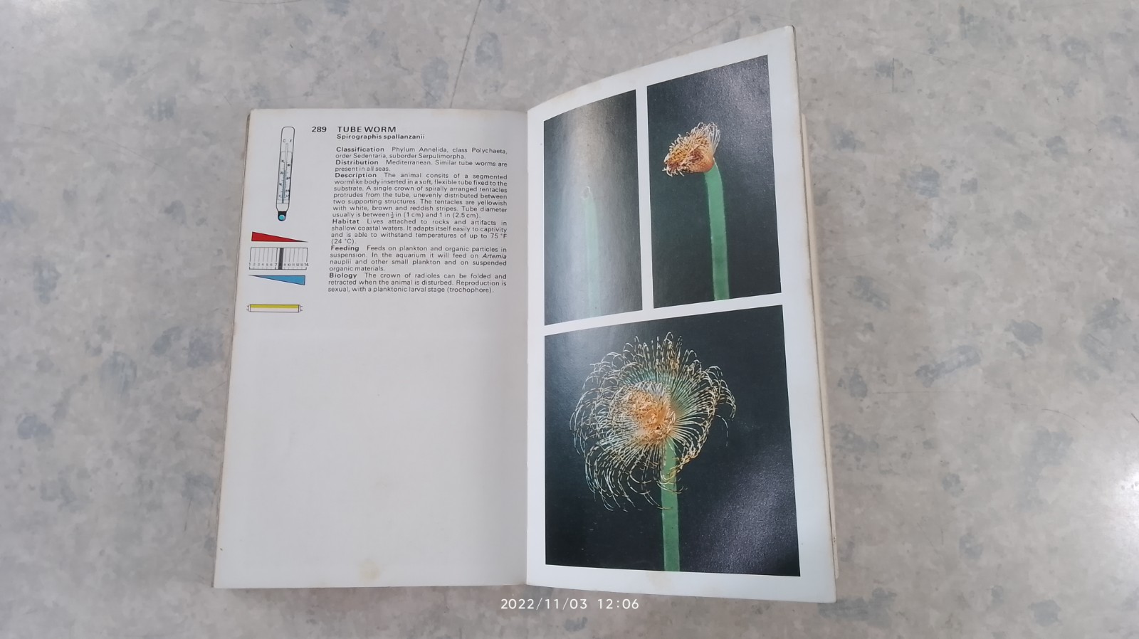 Simon And Schuster's Complete Guide To Freshwater And Marine Aquarium Fishes Vintage Paperback Book