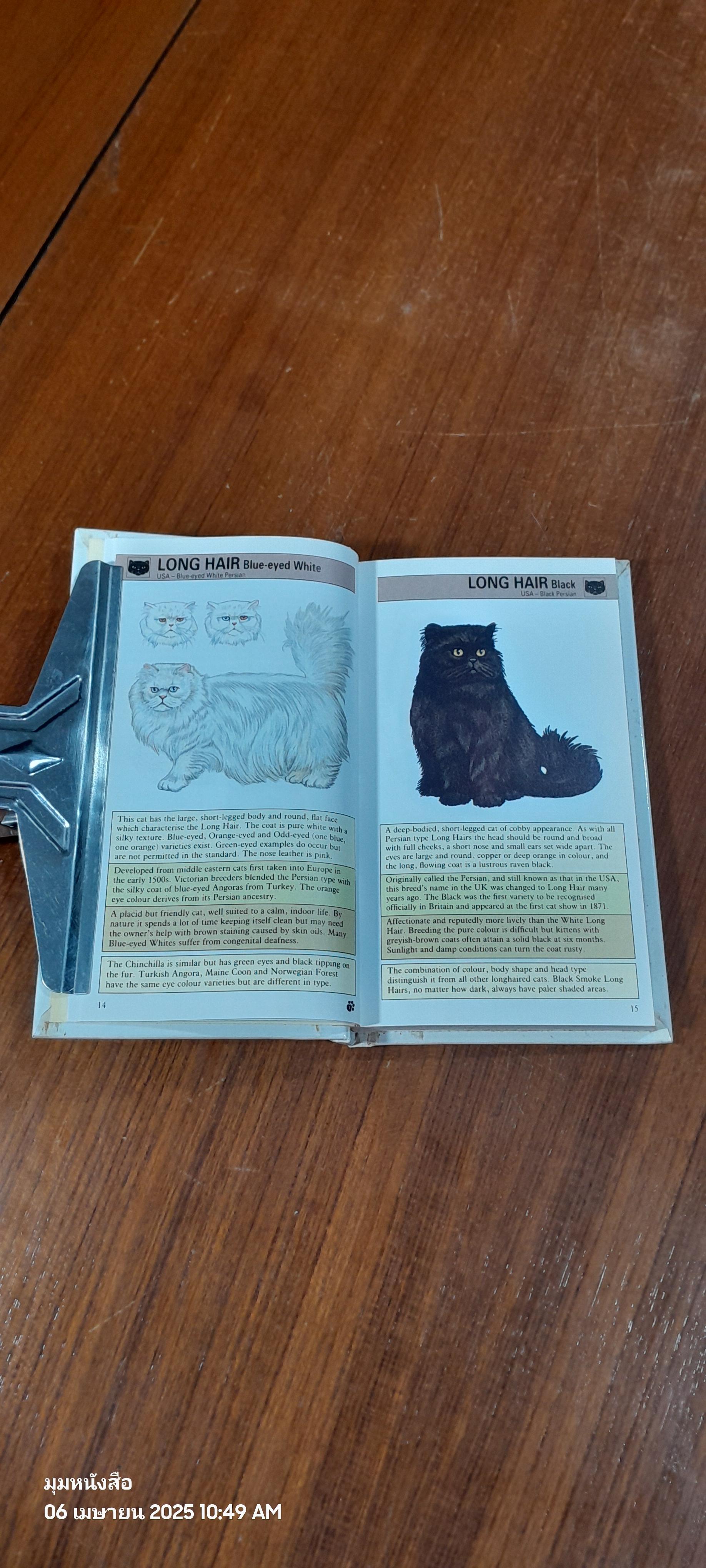 Pocket Reference Guides CATS