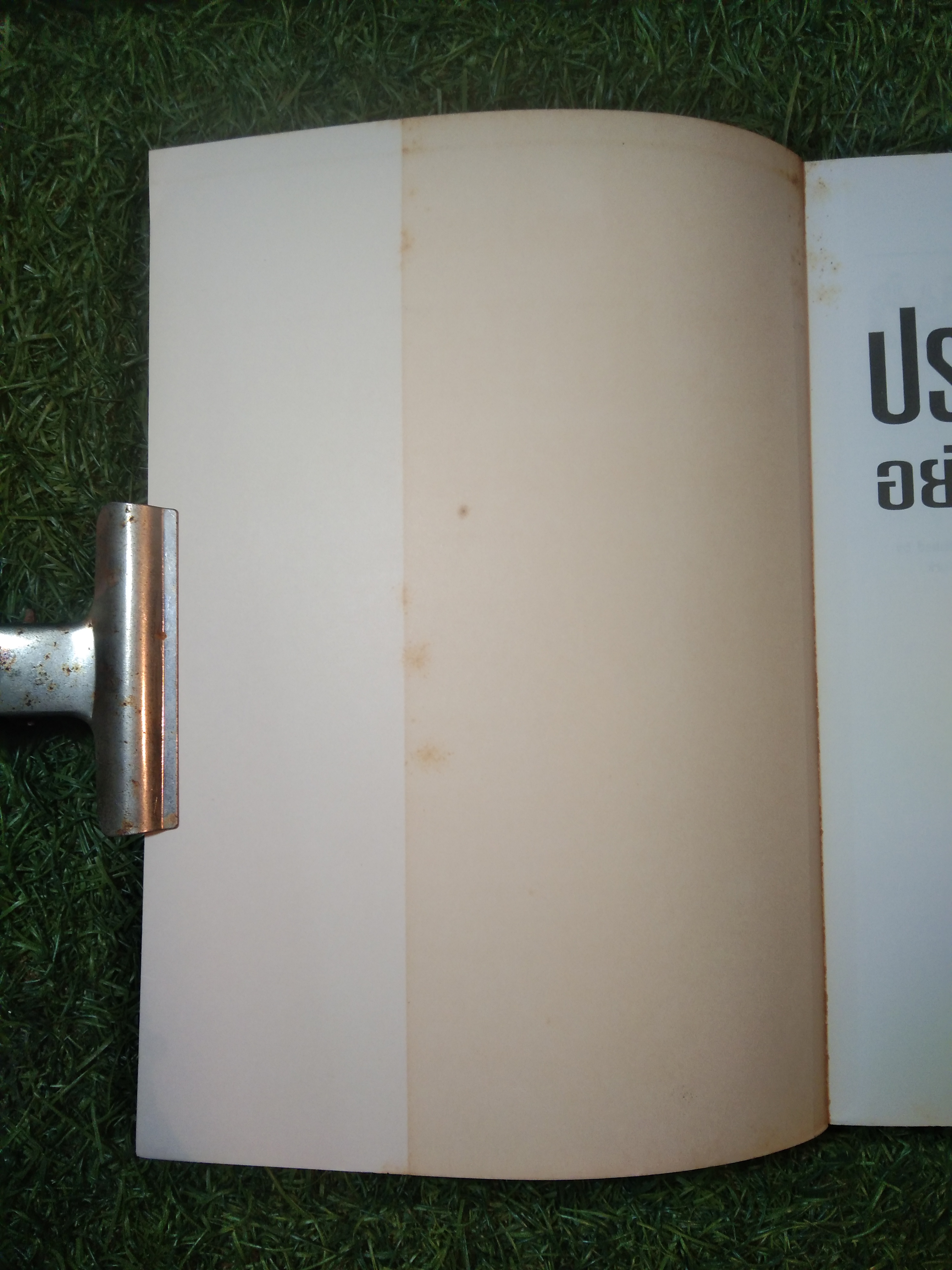 เทคนิค ประเมินผลงานอย่างมีประสิทธิภาพ / Randi Toler Sachs