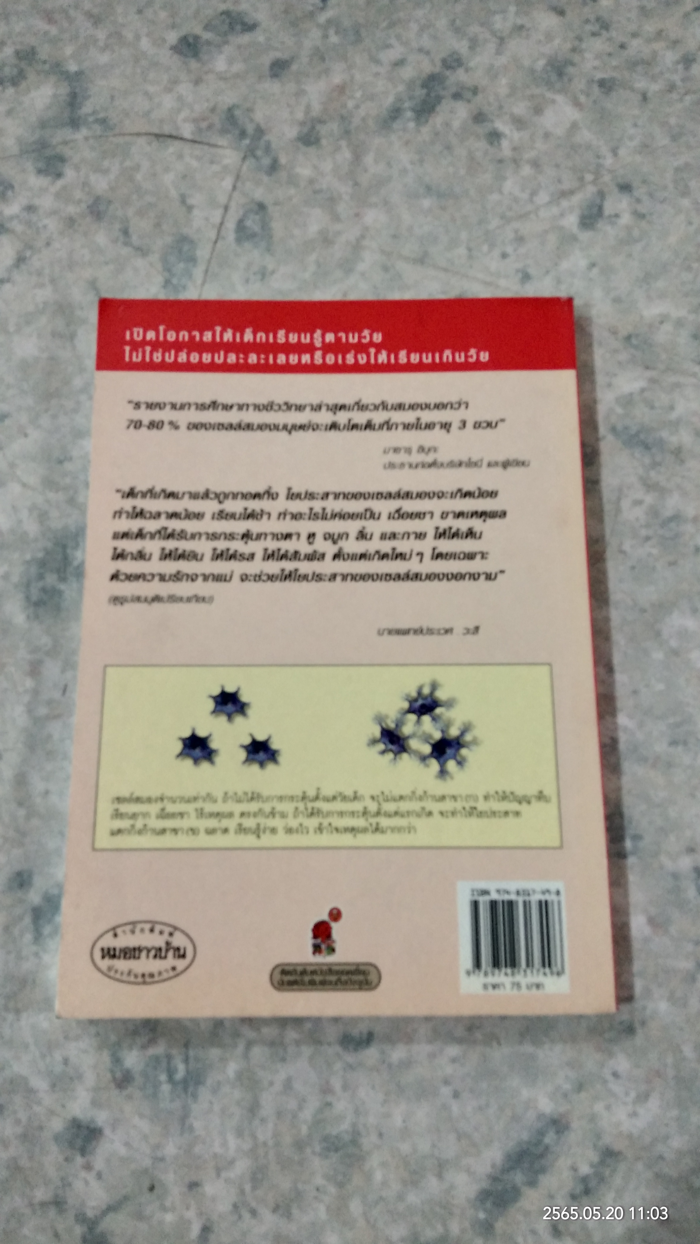 รอให้ถึงอนุบาลก็สายเสียแล้ว / มาซารุ อิบุกะ