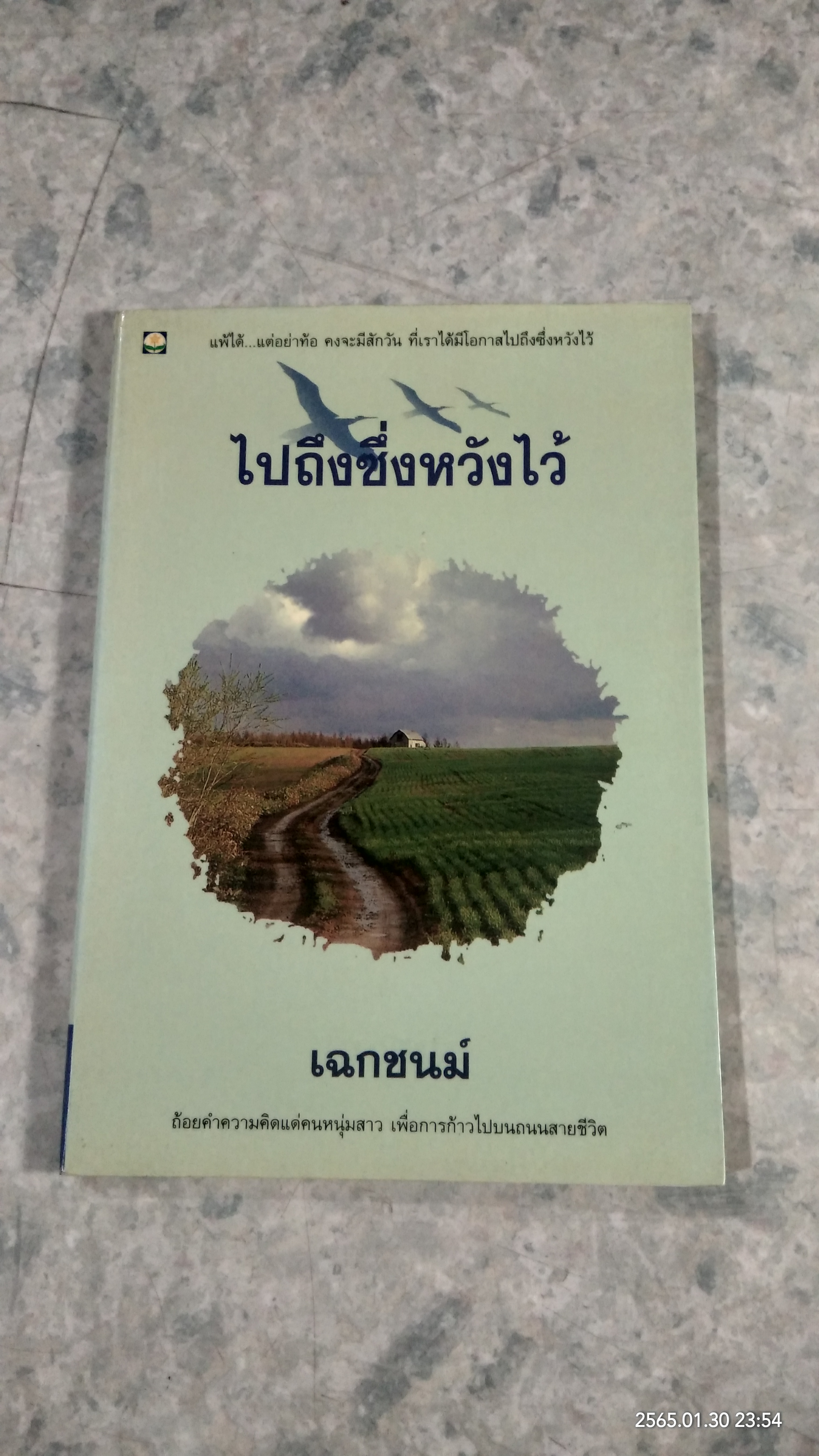 ไปถึงซึ่งหวังไว้ / เฉกชนม์