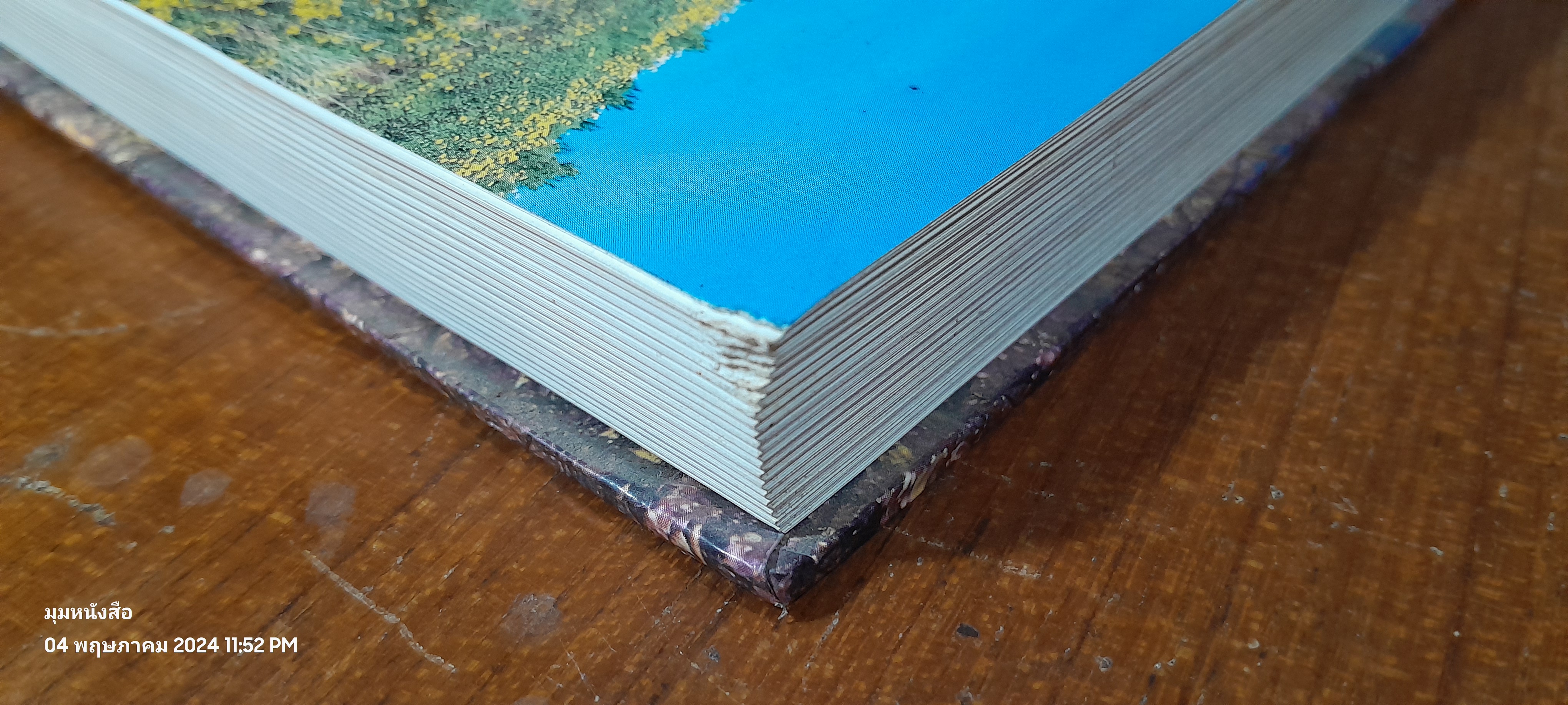 ไม้ดอกและไม้ประดับ