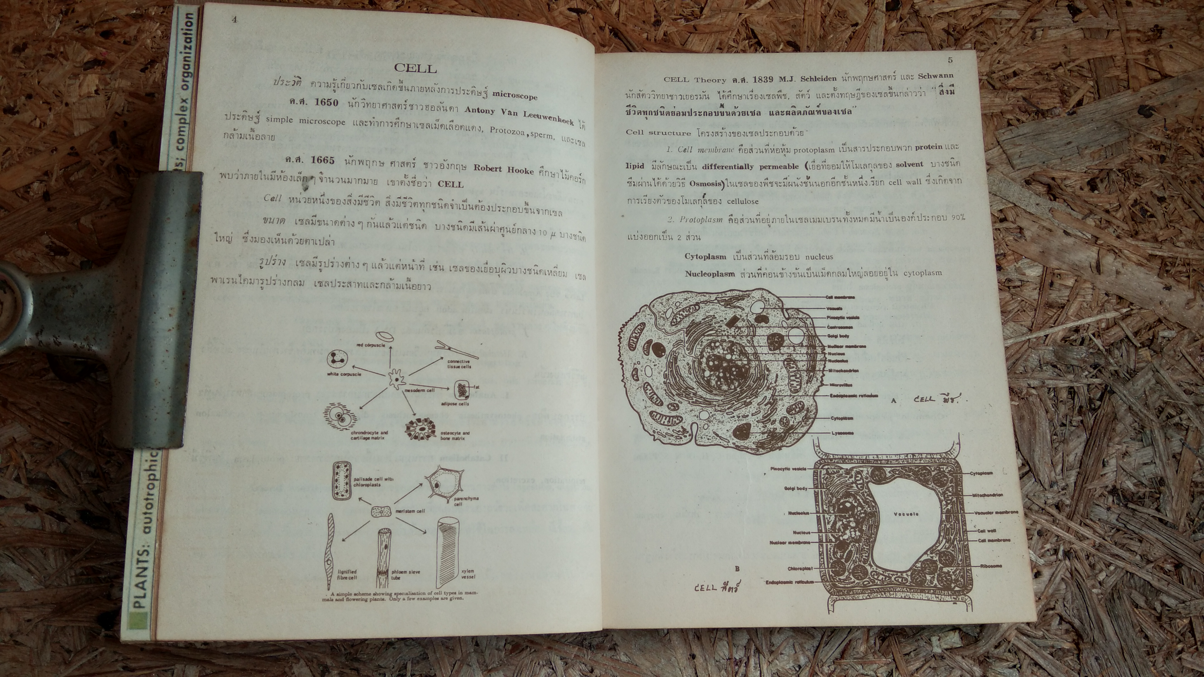 THE ASSEMBLY OF BIOLOGY