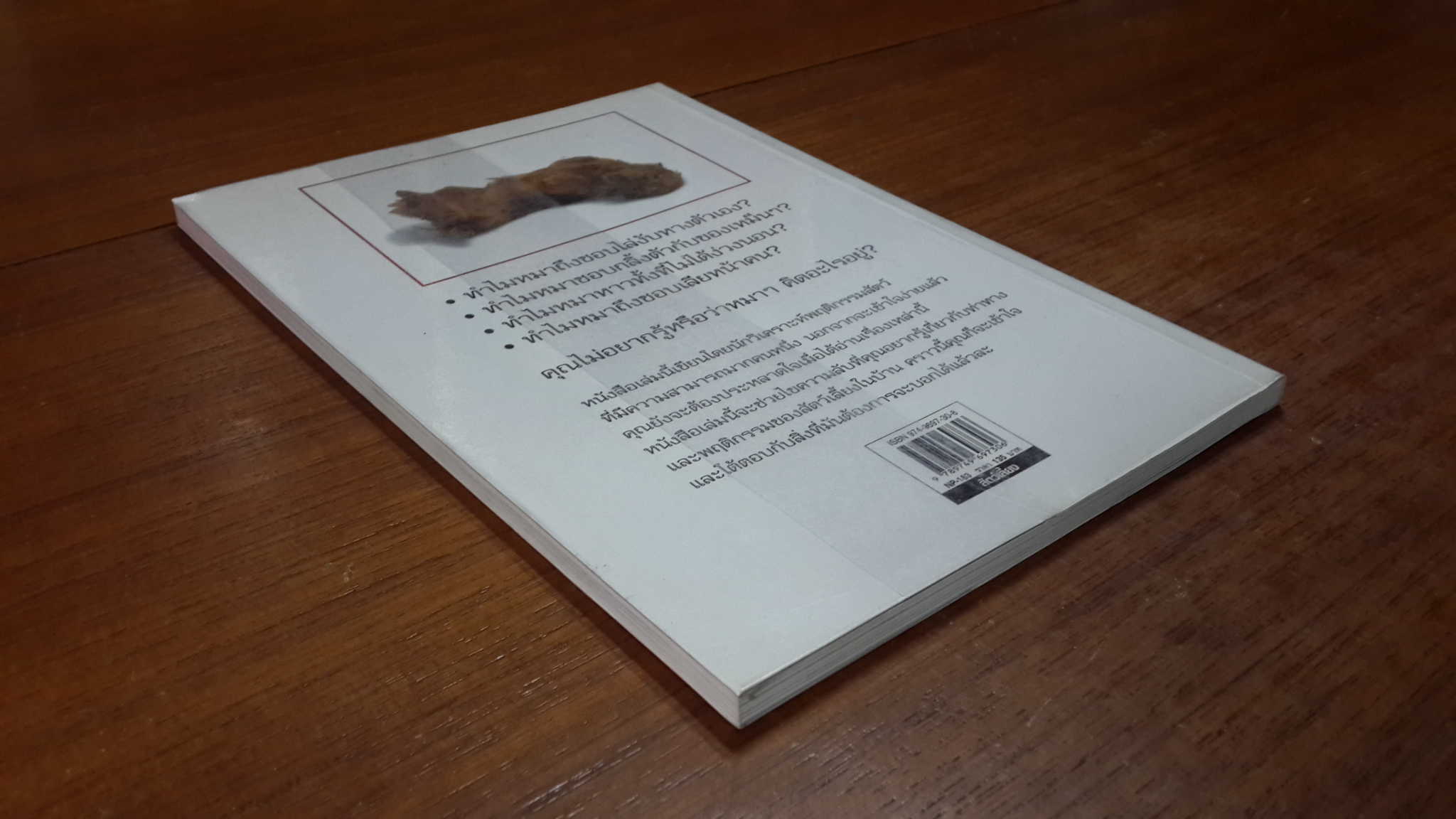 รู้ไหมหมาคิดอะไรอยู่? / เกวย เบลีย์