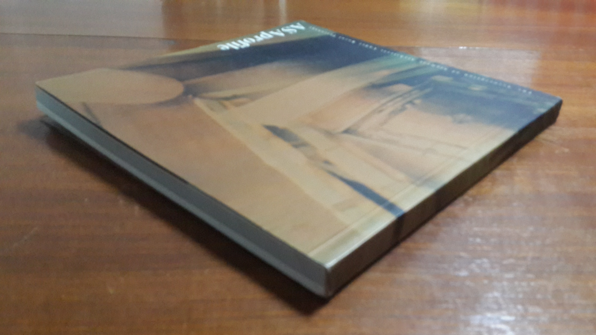 ASA Profile 1993/1994 / นิธิ สถาปิตานนท์