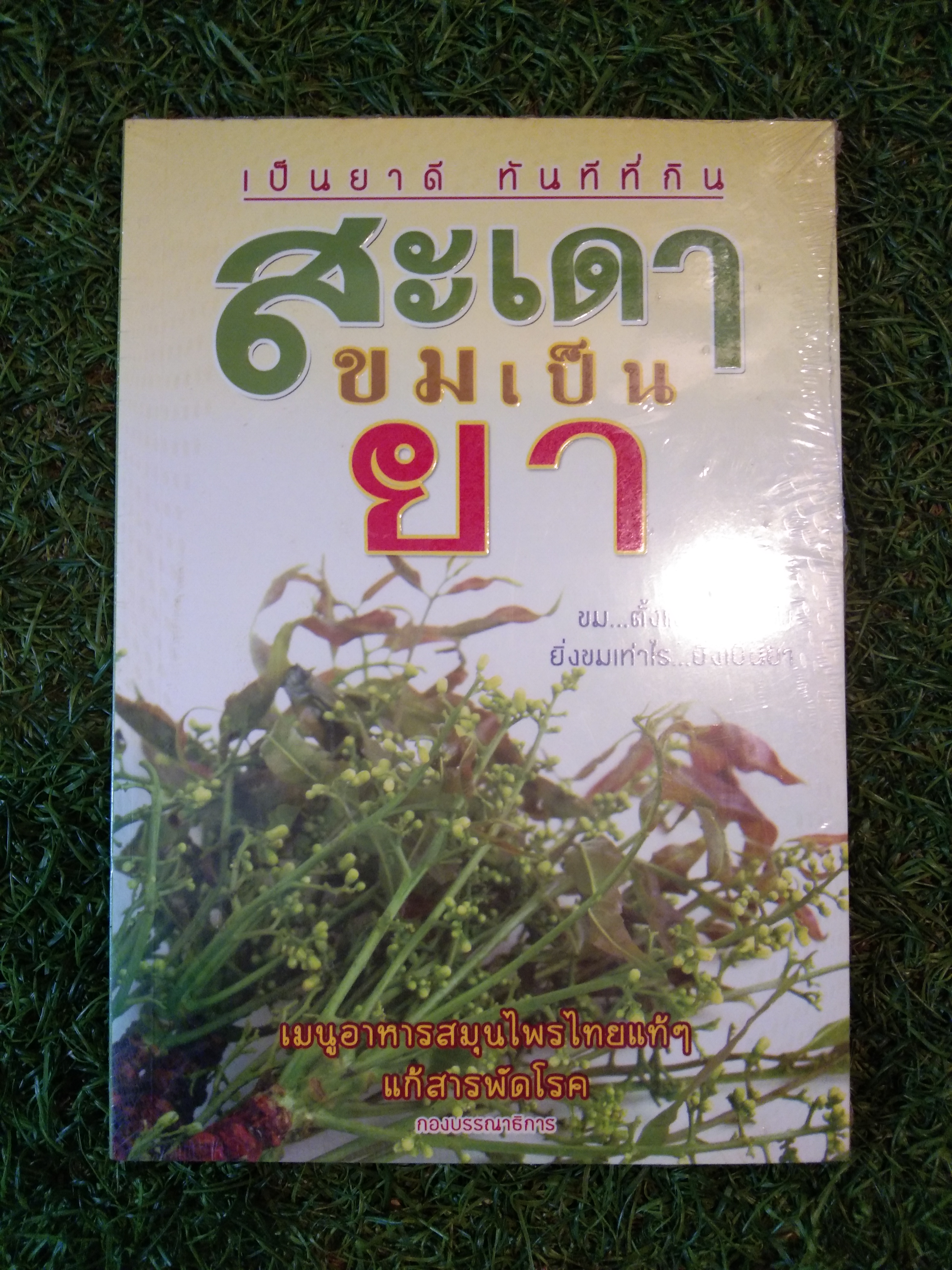 เป็นยาดี ทันทีที่กิน สะเดาขอมเป็นยา / Bangkok Books