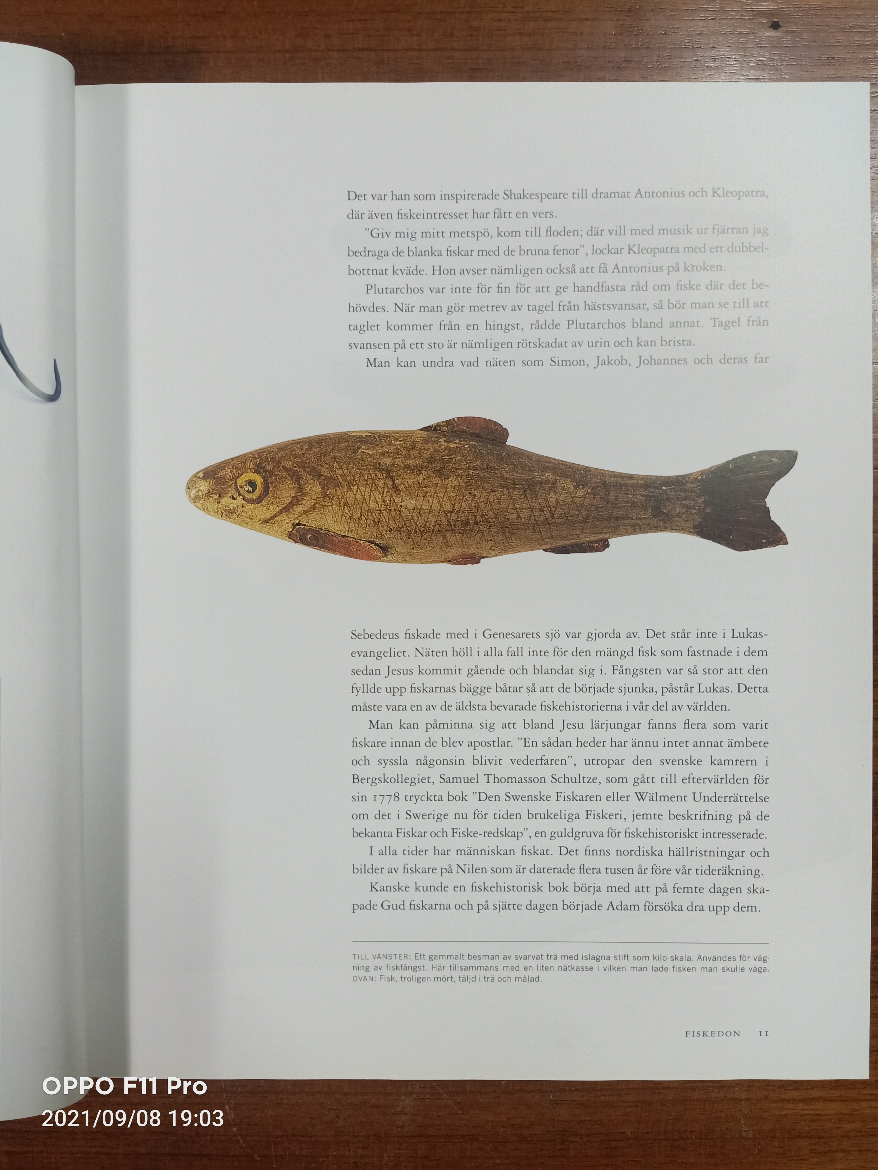 Fiskedon / ดีเลน, โกรัน & ทูรันเดอร์, เคอร์สติน