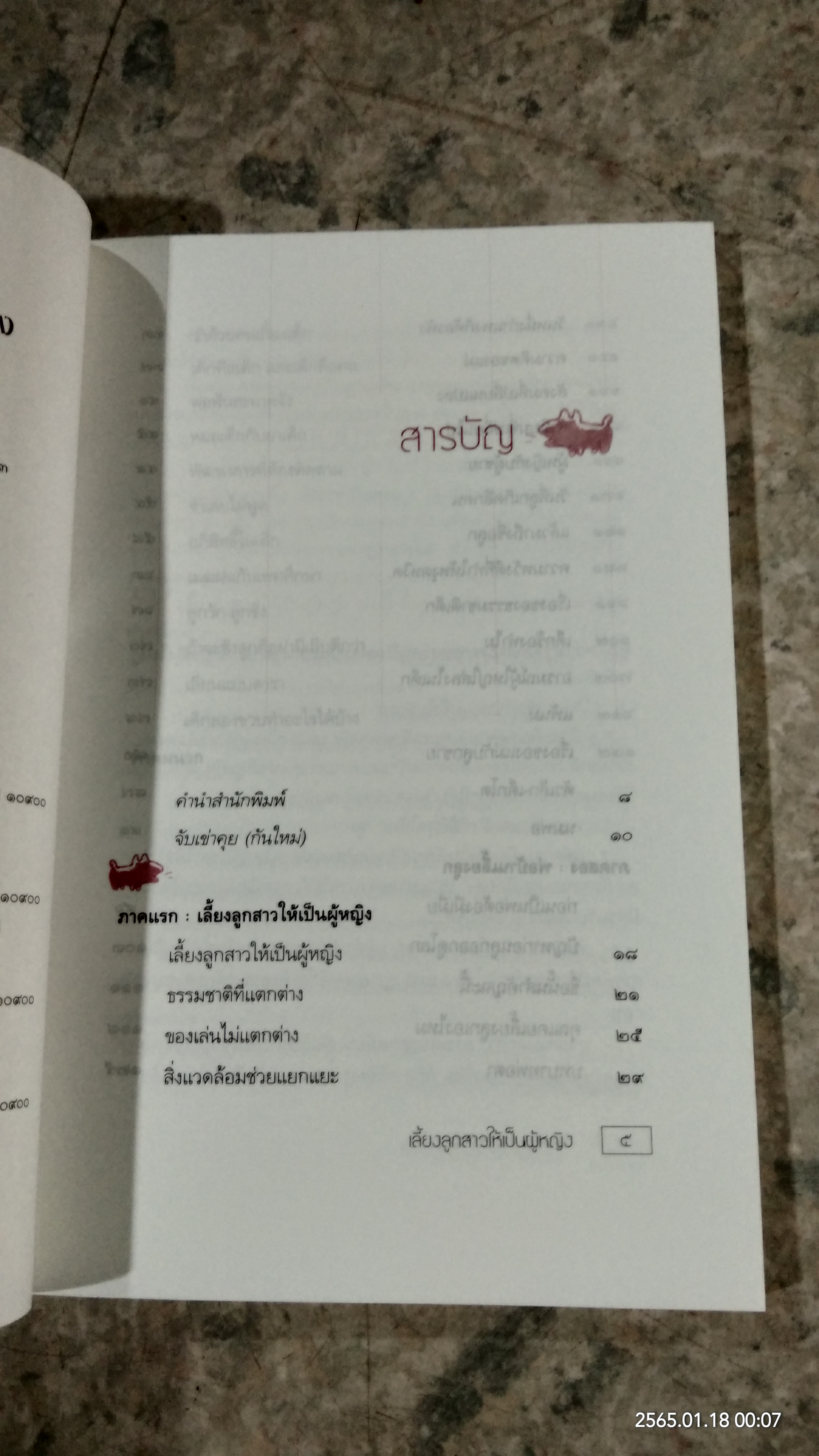 เลี้ยงลูกสาวให้เป็นผู้หญิง (พ่อบ้านเลี้ยงลูก ตำรับ ๒) / เรืองชัย ทรัพย์นิรันดร์