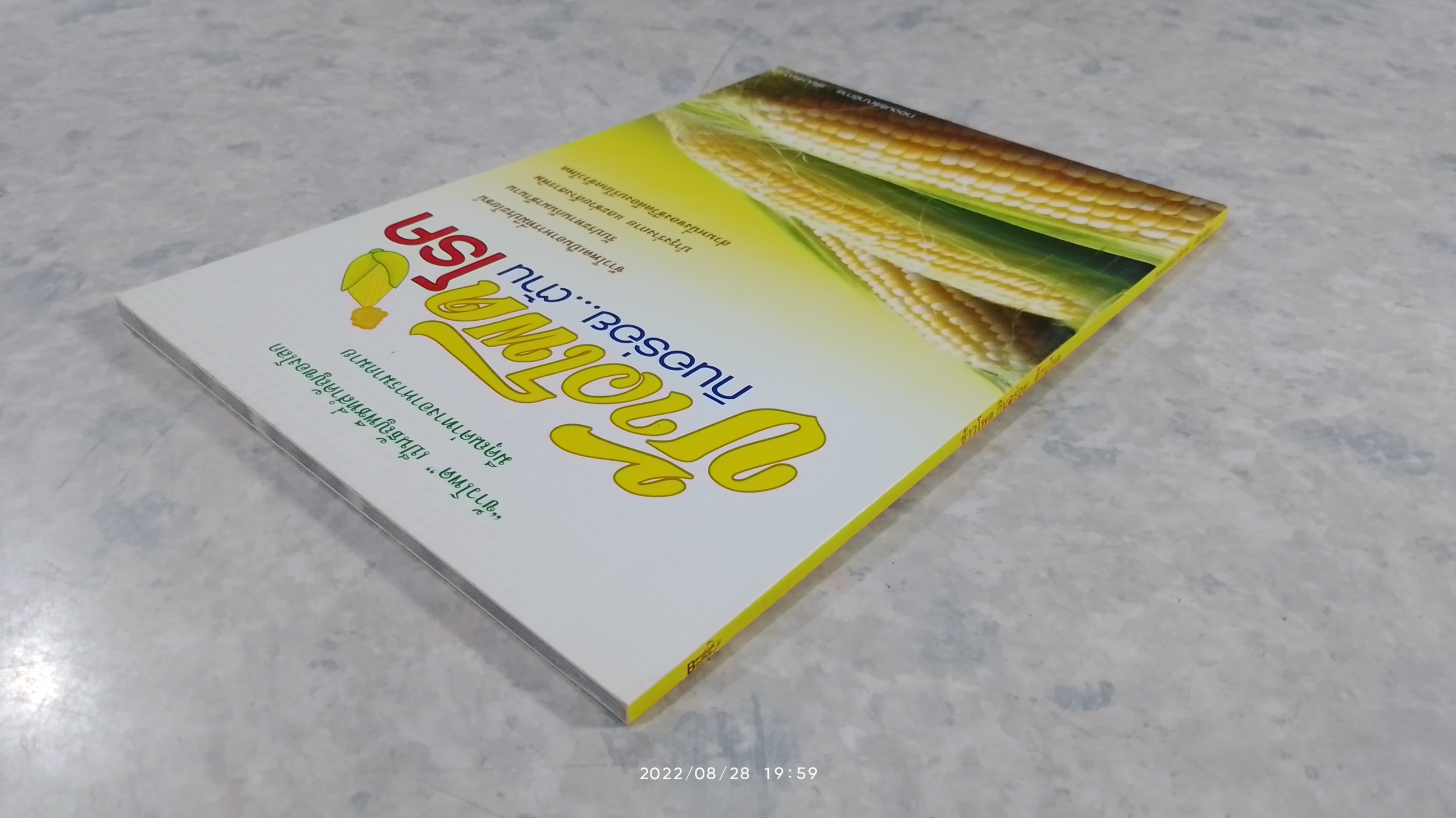 ข้าวโพด กินอร่อย...ต้านโรค