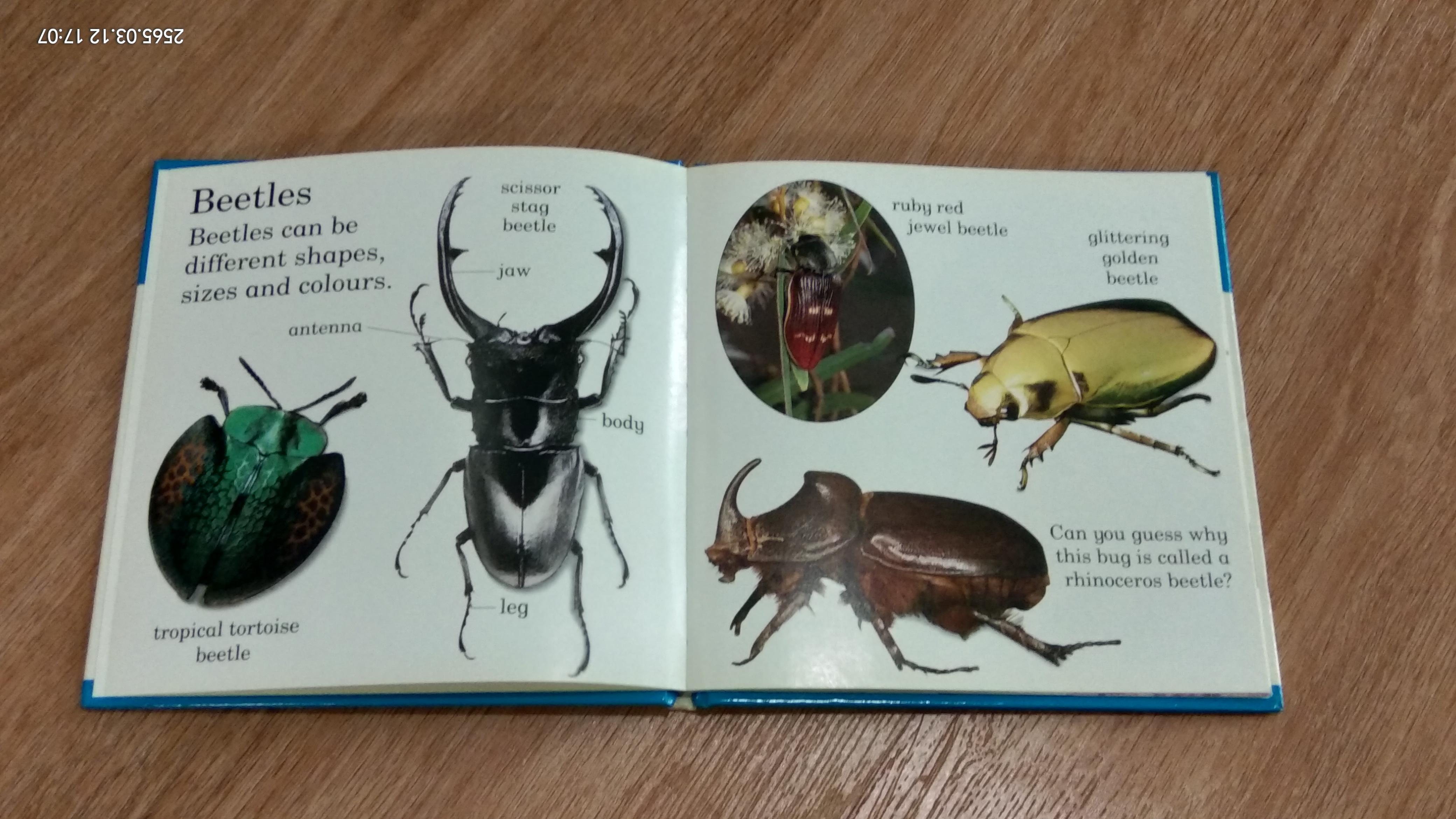LET' S LOOK AT Bugs