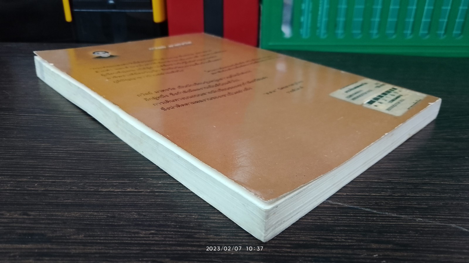 กระท่อมแสงตะวัน / ถวัลย์ มาศจรัส