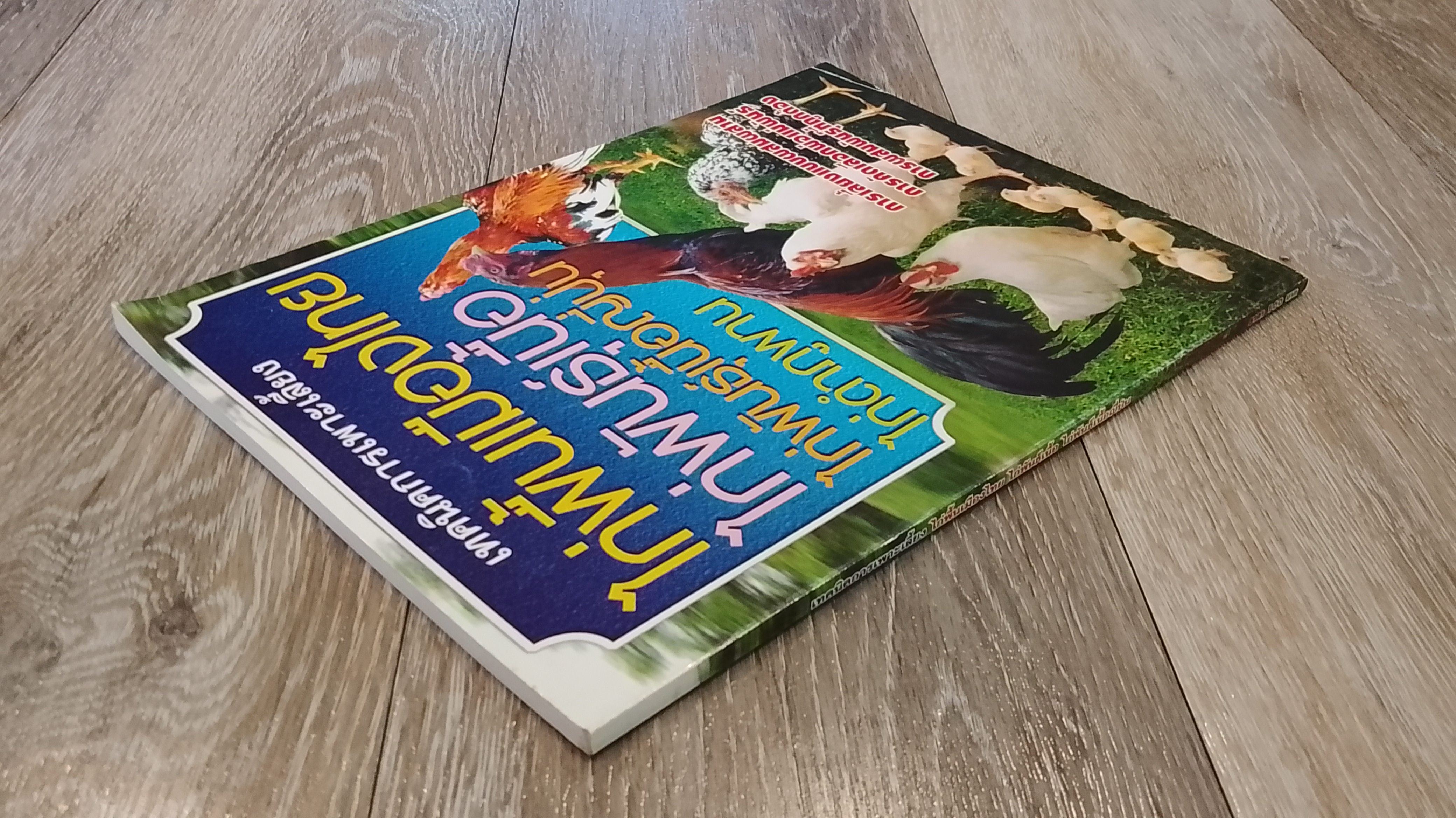 เทคนิคการเพาะเลี้ยง ไก่พื้นเมืองไทย ไก่พันธุ์เนื้อ ไก่พันธุ์เนื้อญี่ปุ่น