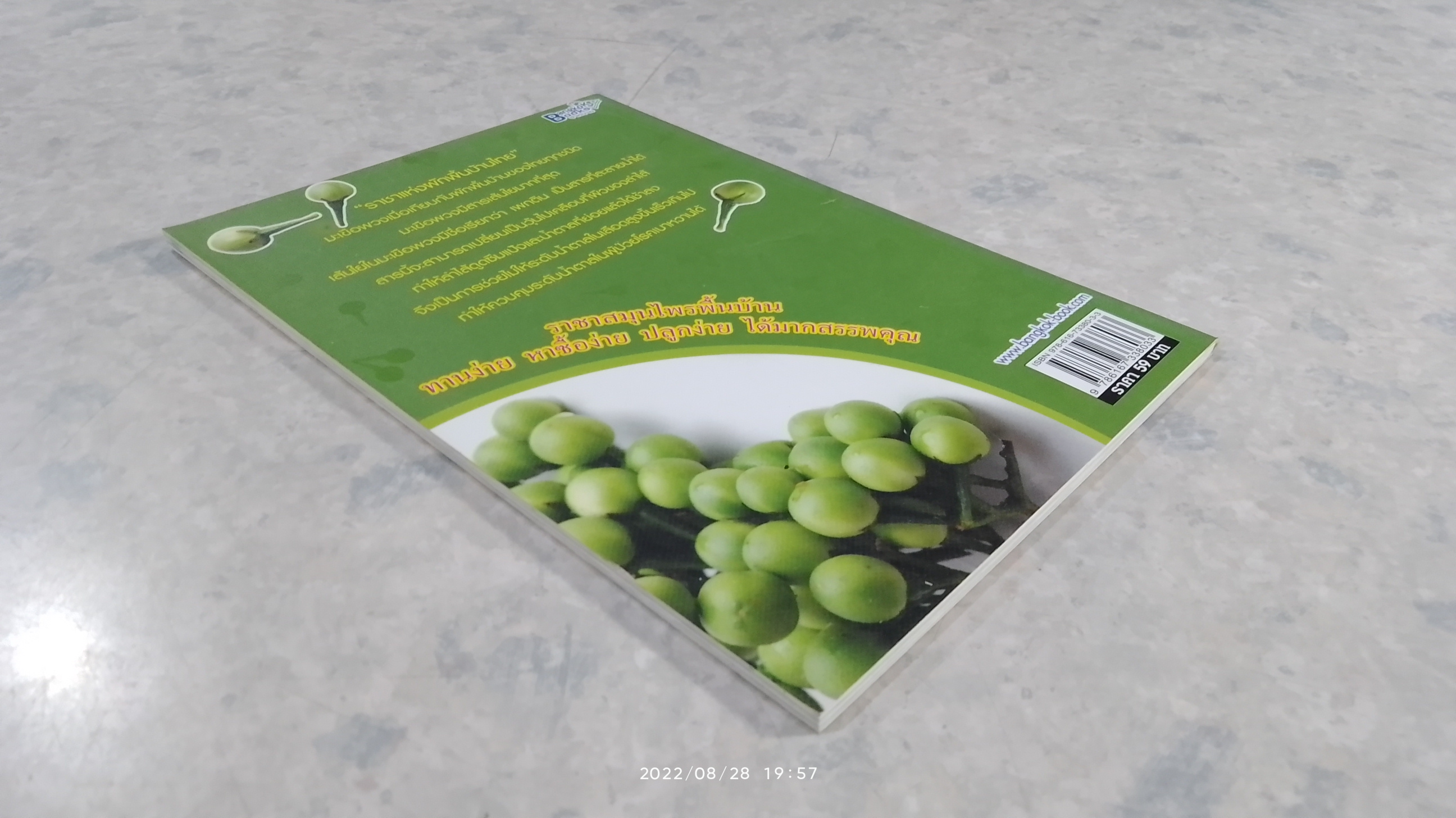 มะเขือพวง ขจัดเบาหวาน ราชาสมุนไพร จากพื้นบ้านแห่งสยาม