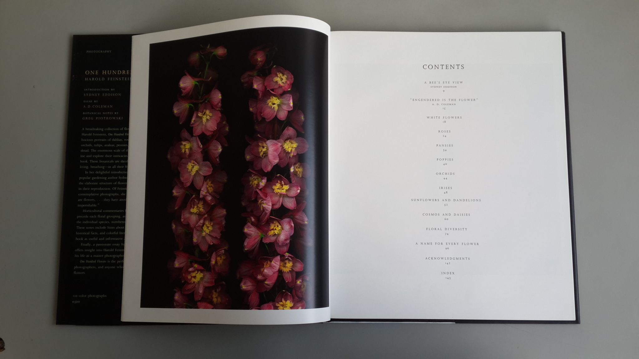 ONE HUNDRED FLOWERS / HAROLD FEINSTEIN