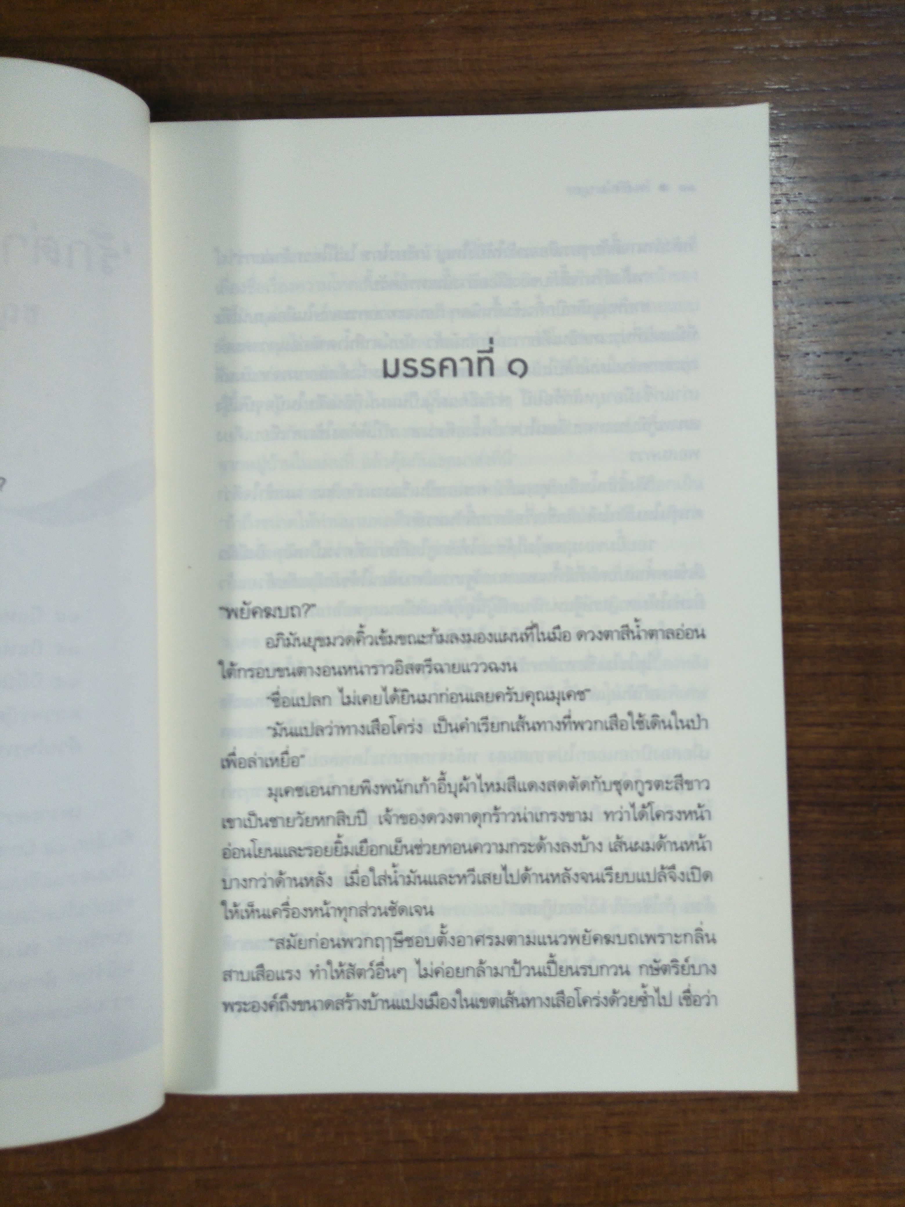 พยัคฆบถ / ชญาน์พิมพ์