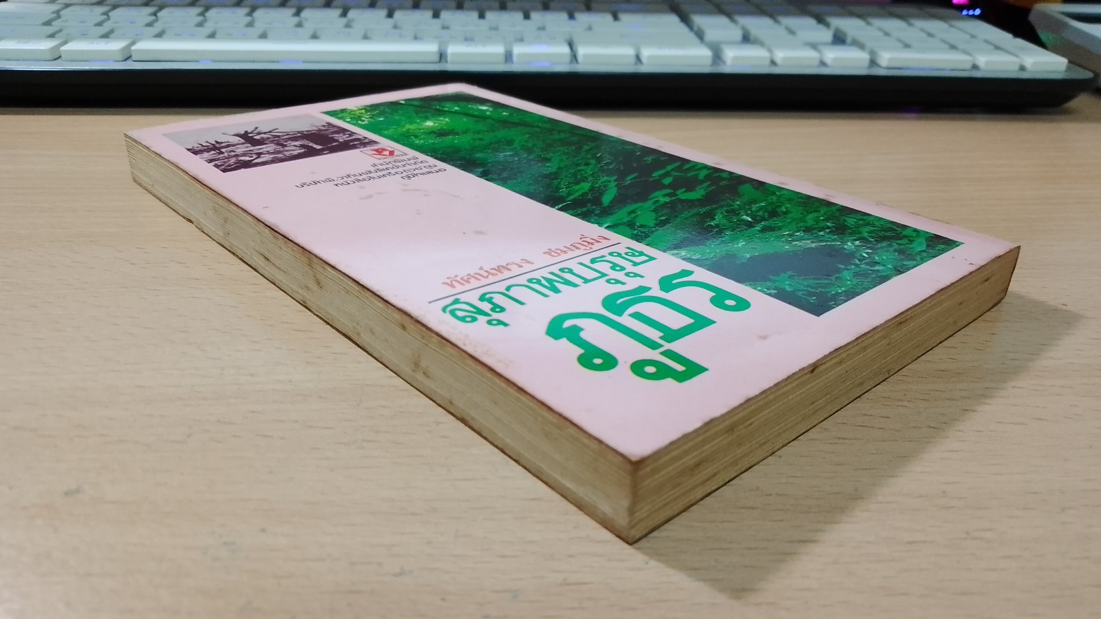 สภาพบุรุษภูธร / ทัศน์ทรง ชมภูมิ่ง