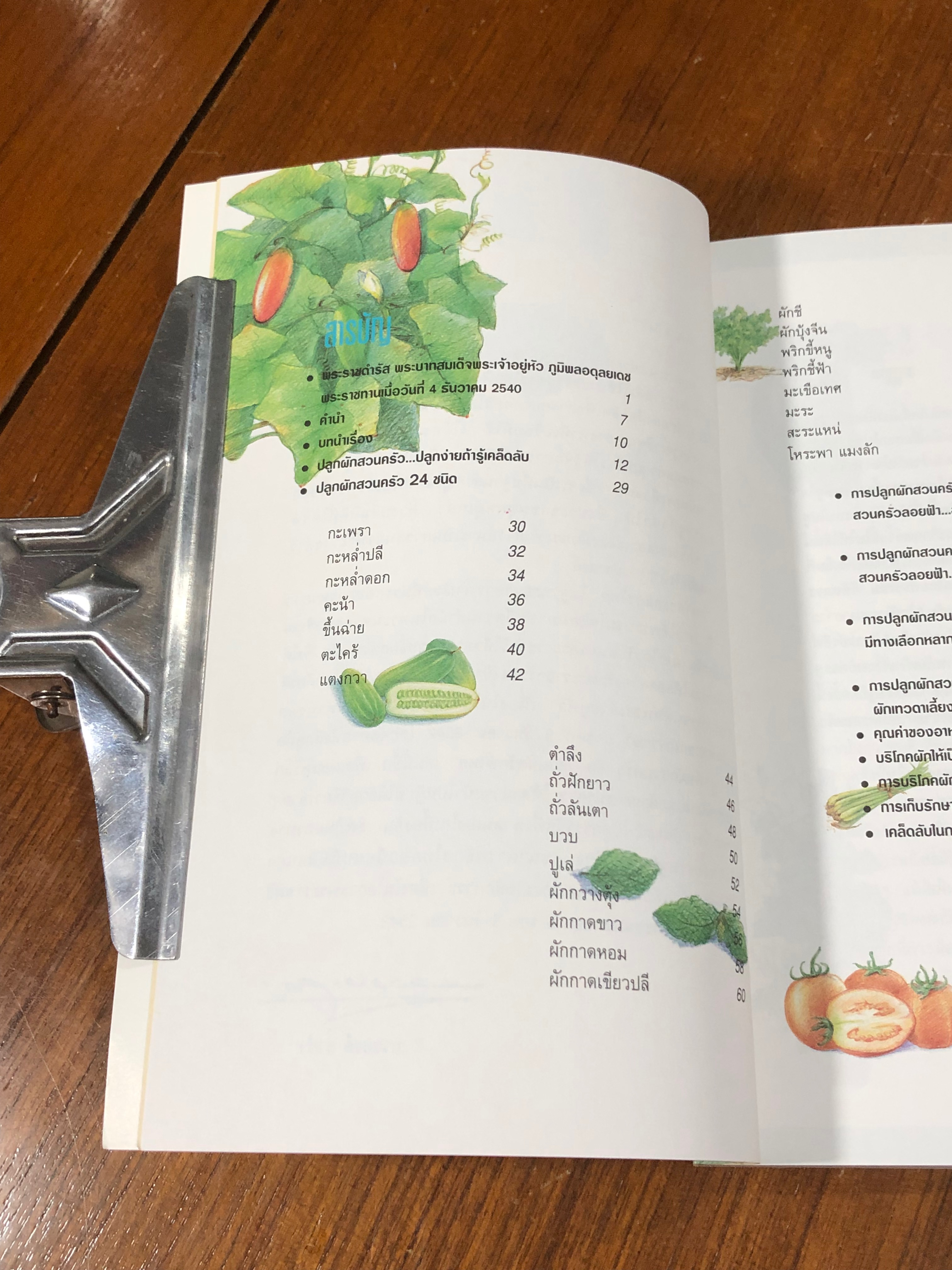 สวนผักรักษ์ไทย / ธ.กสิกรไทย