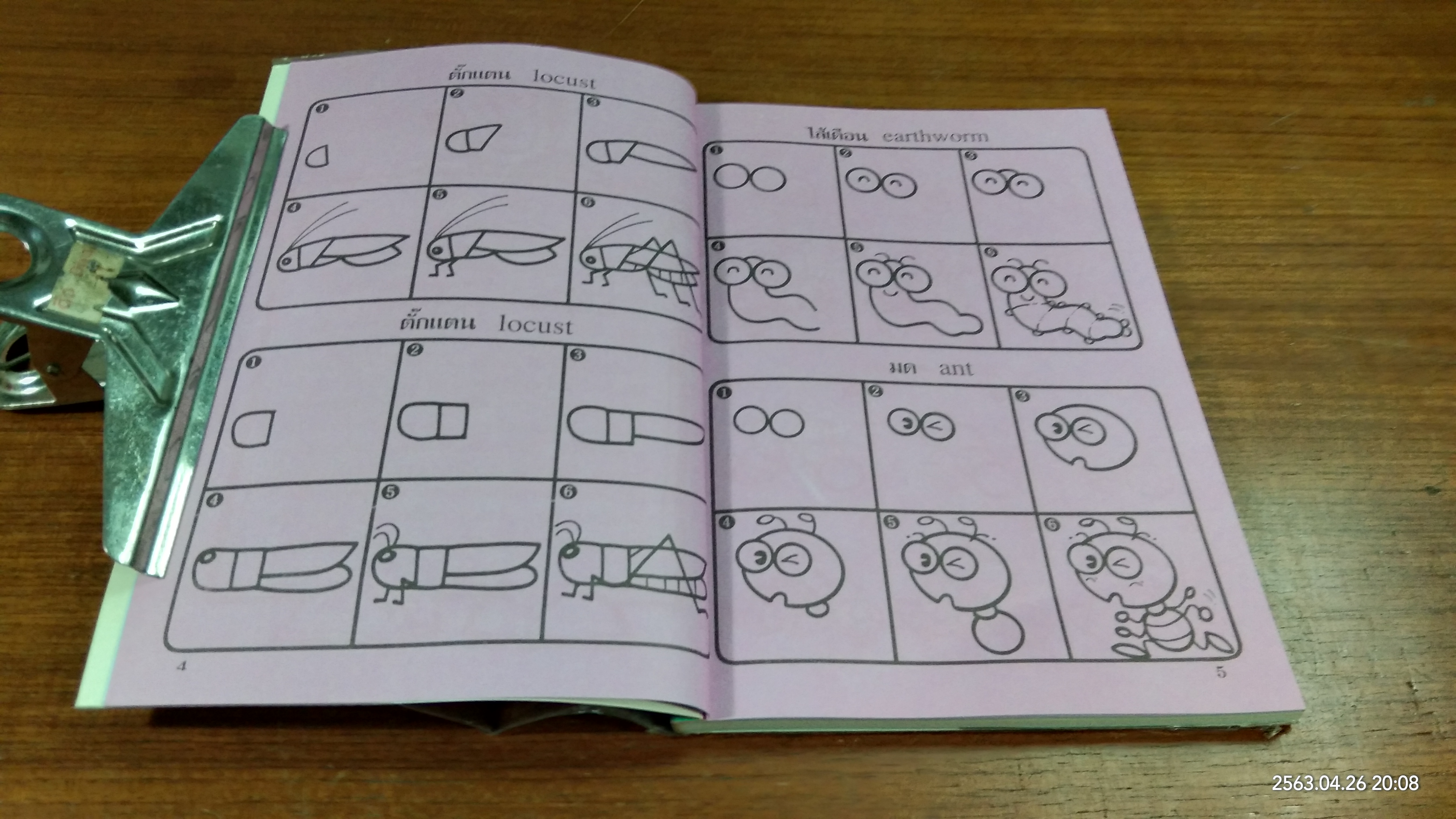 หัดวาดการ์ตูน 5 รูปแมลง
