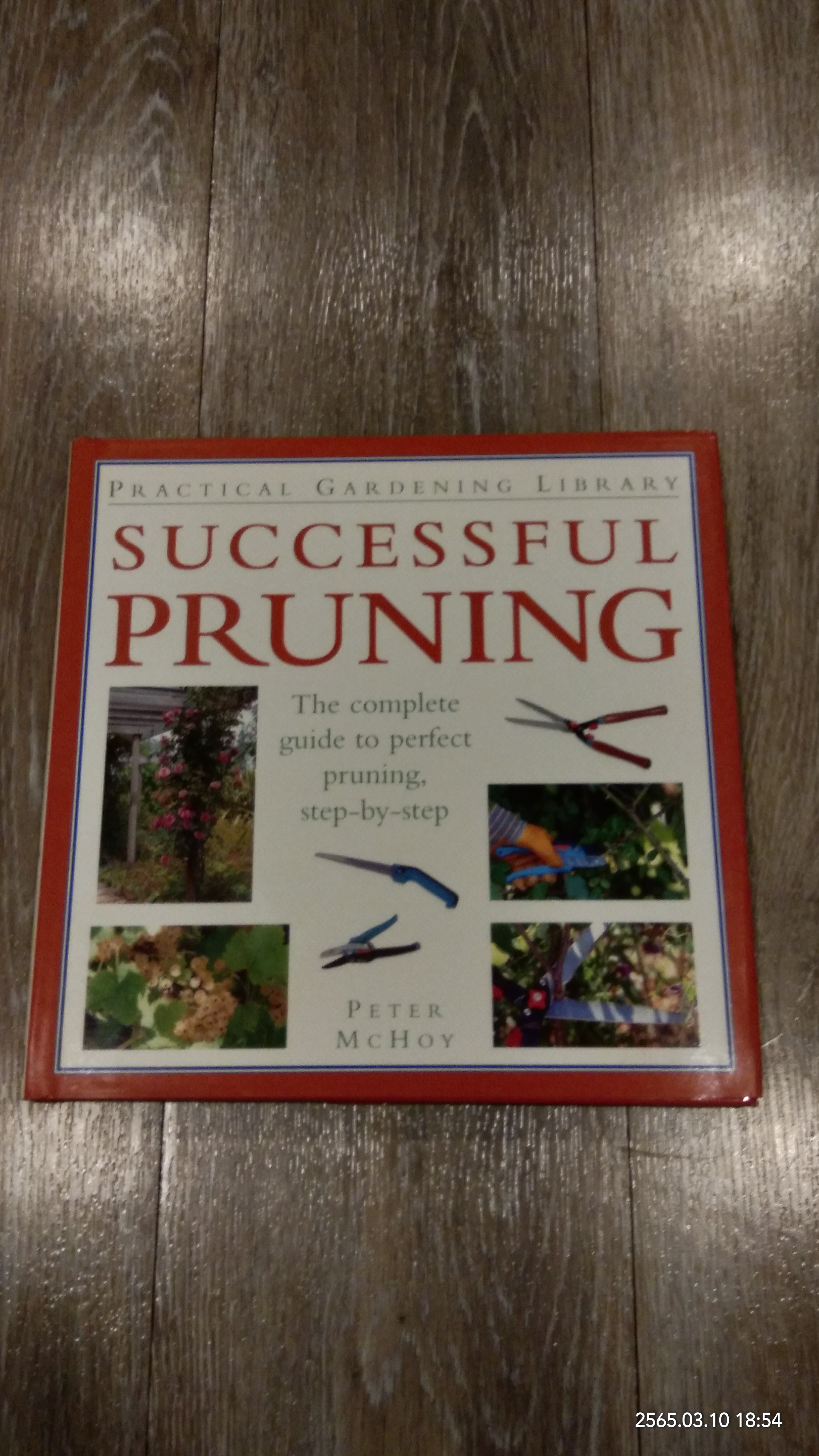 SUCCESSFUL PRUNING / PETER MCHOY