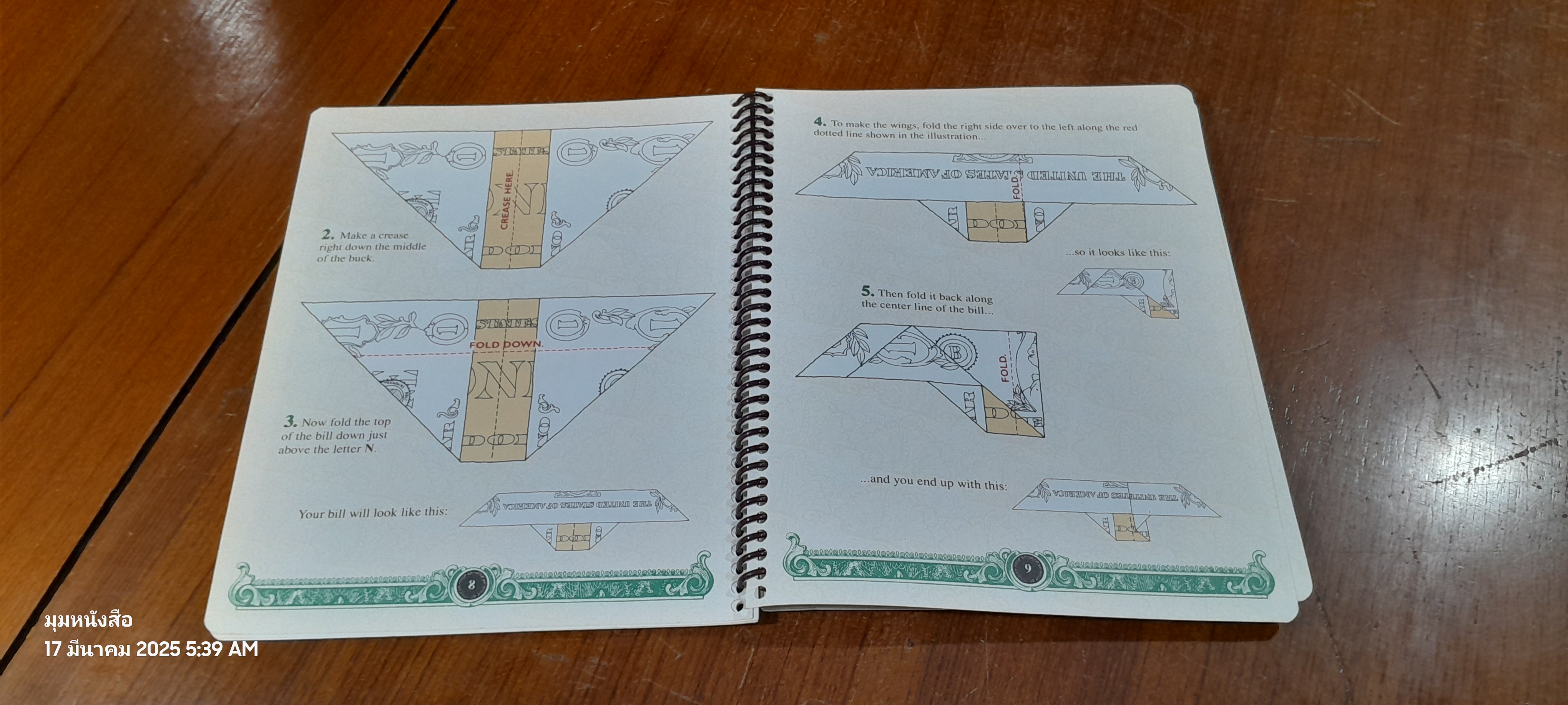 THE BUCK BOOK / Anne Akers Johnson