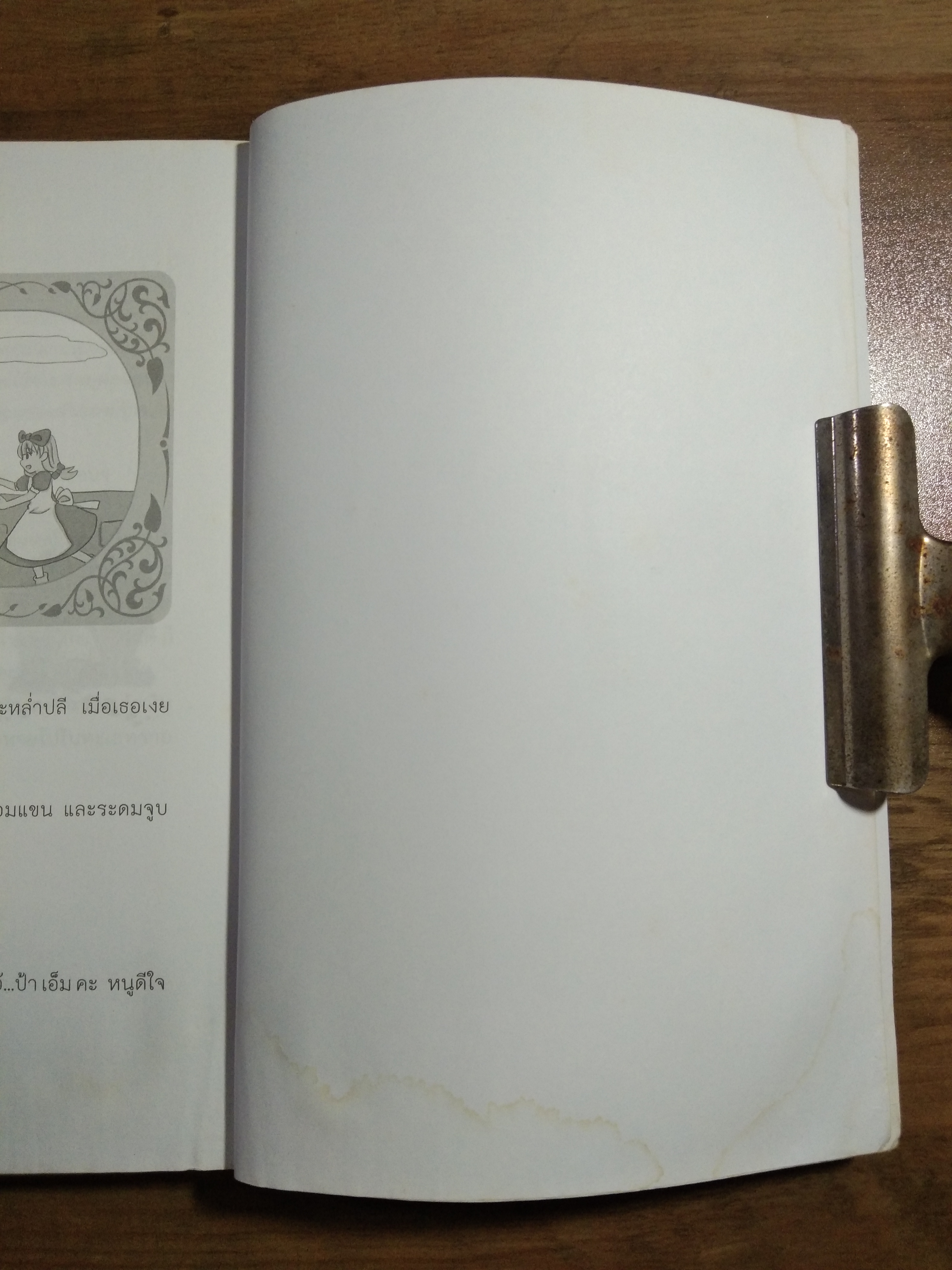 วรรณกรรมอมตะโลก พ่อมดอัศจรรย์แห่ง ออซ The Wonderful Wizard of Oz / แอล.แฟรงก์ โบม