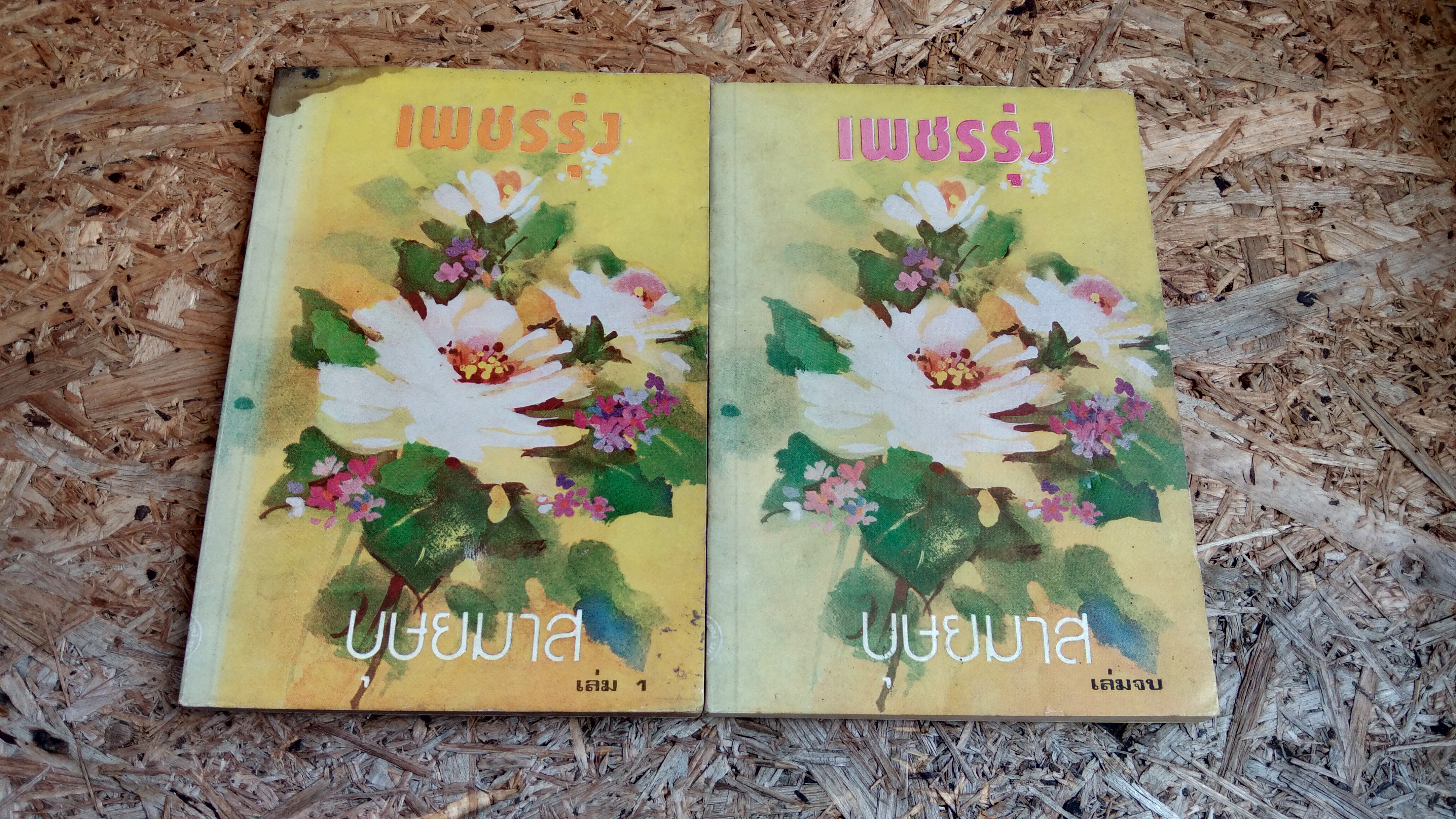 เพชรรุ่ง (2เล่มจบ) / บุษยมาส