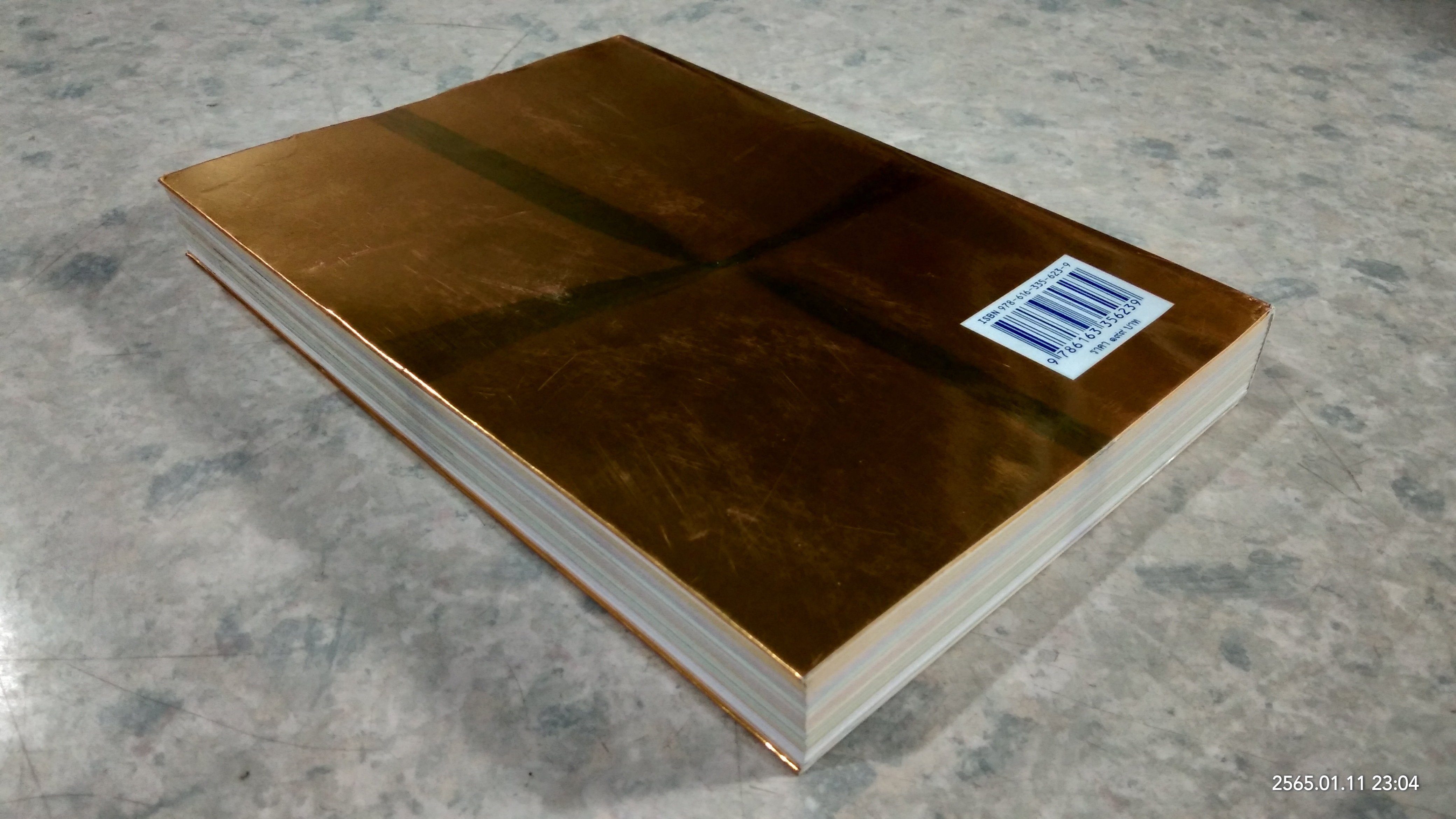 พระบาทสมเด็จพระเจ้าอยู่หัว กับคณะองคมนตรี