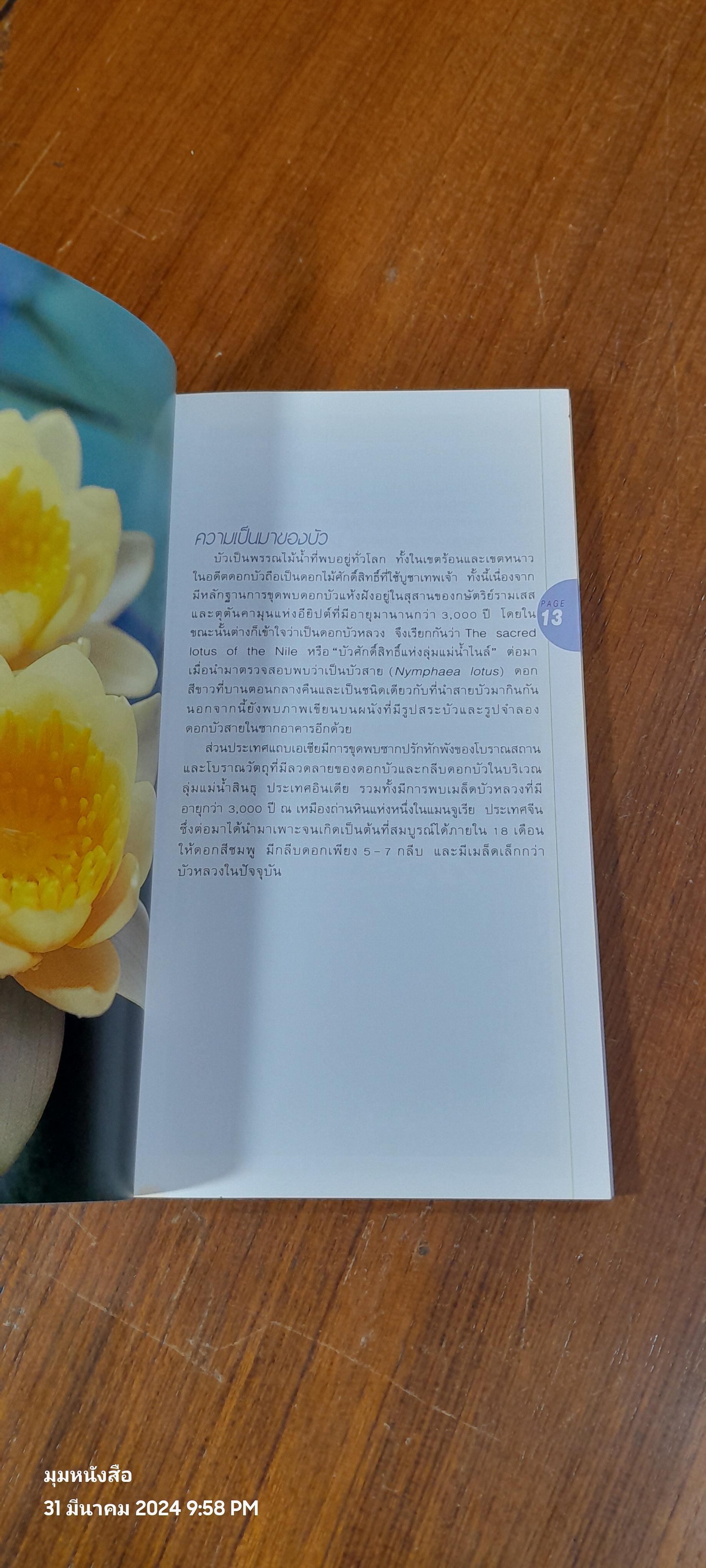 มือใหม่หัดปลูกบัว / อุไร จิรมงคลการ