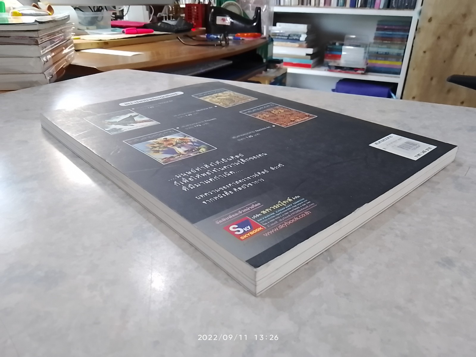 เส้นสายลวดลาย Japanese Art