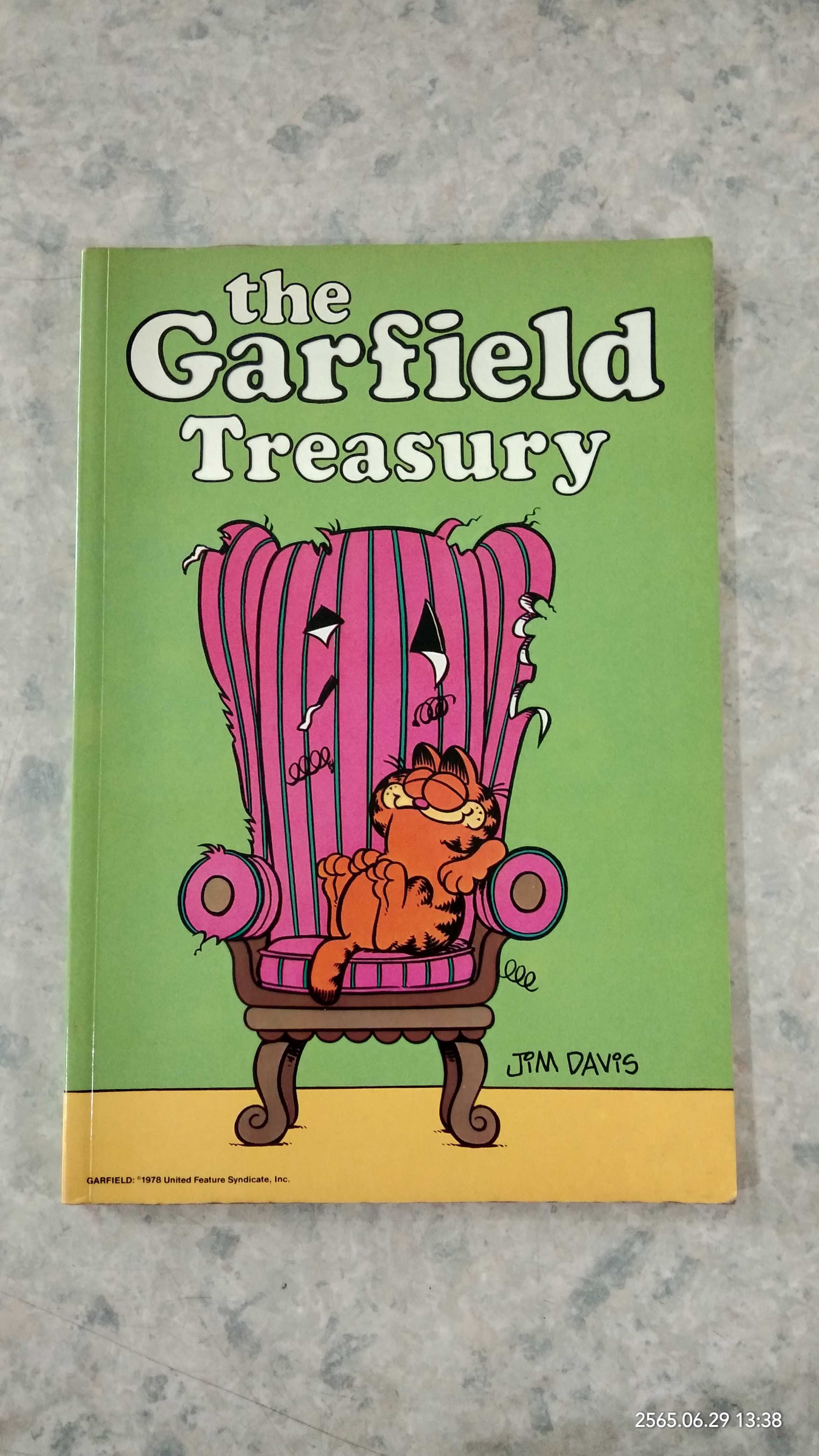 the Garfield Treasury / JiM DAViS