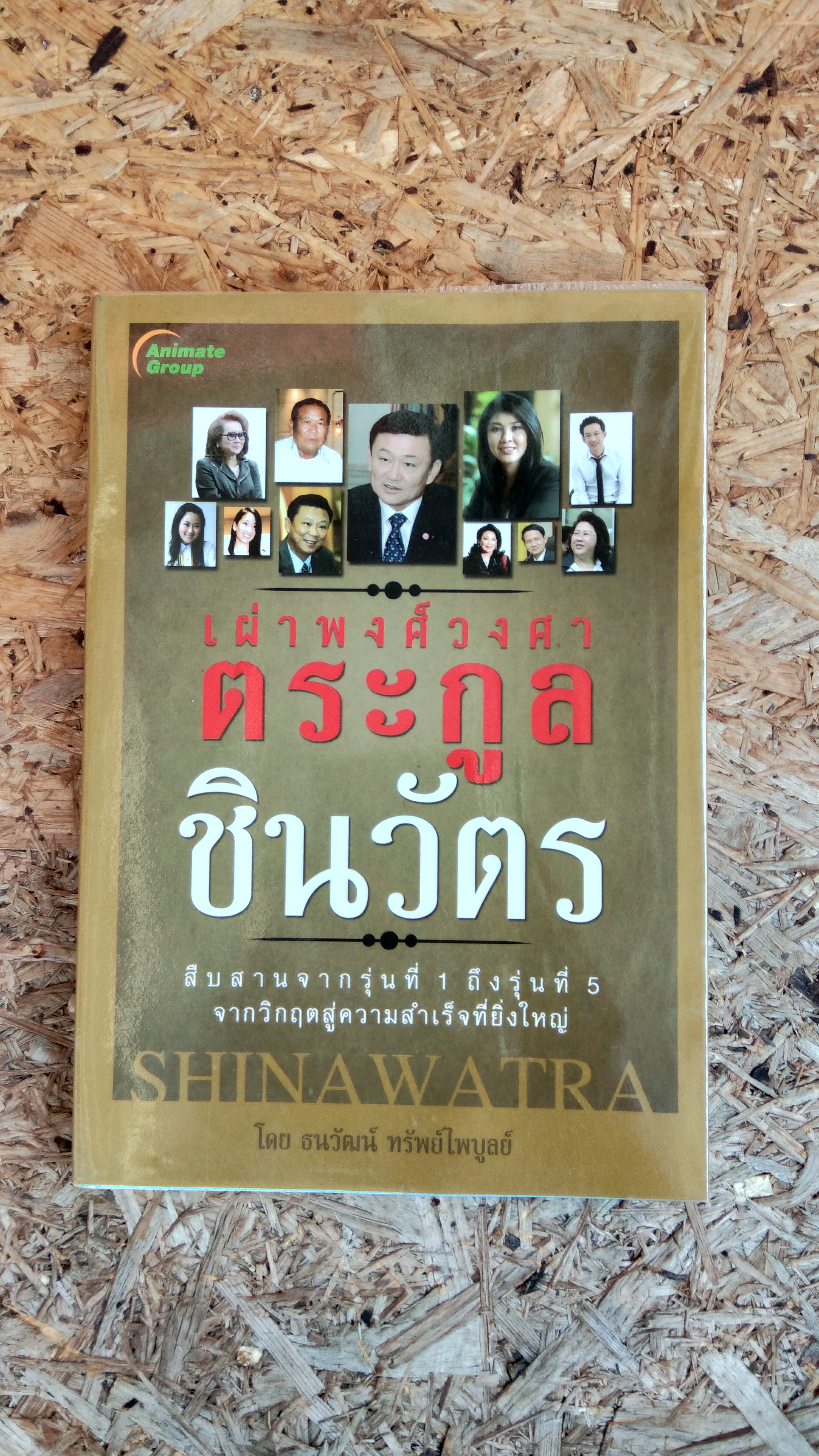 เผ่าพงศ์วงศา ตระกูลชินวัตร / ธนวัฒน์ ทรัพย์ไพบูลย์