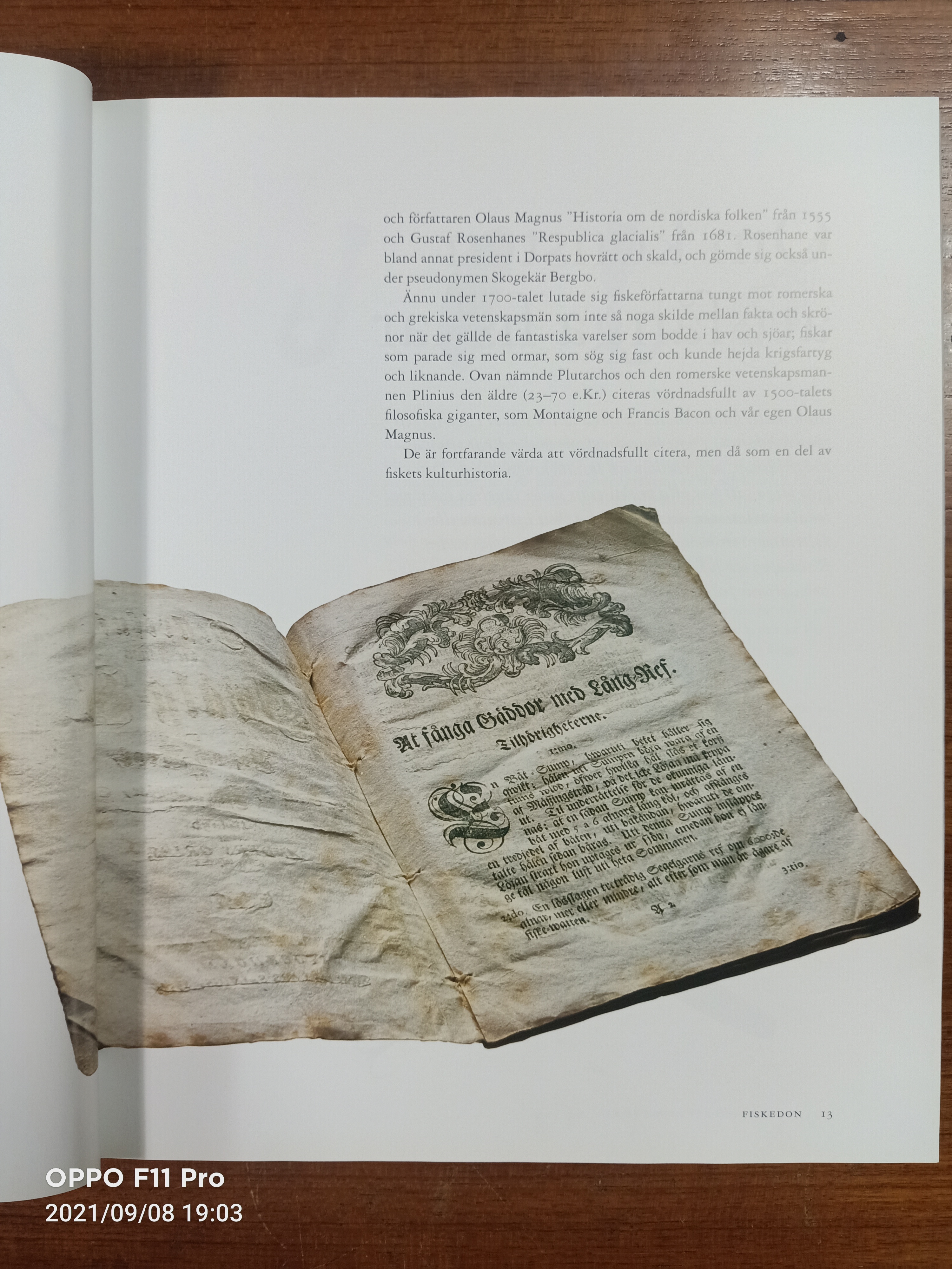 Fiskedon / ดีเลน, โกรัน & ทูรันเดอร์, เคอร์สติน