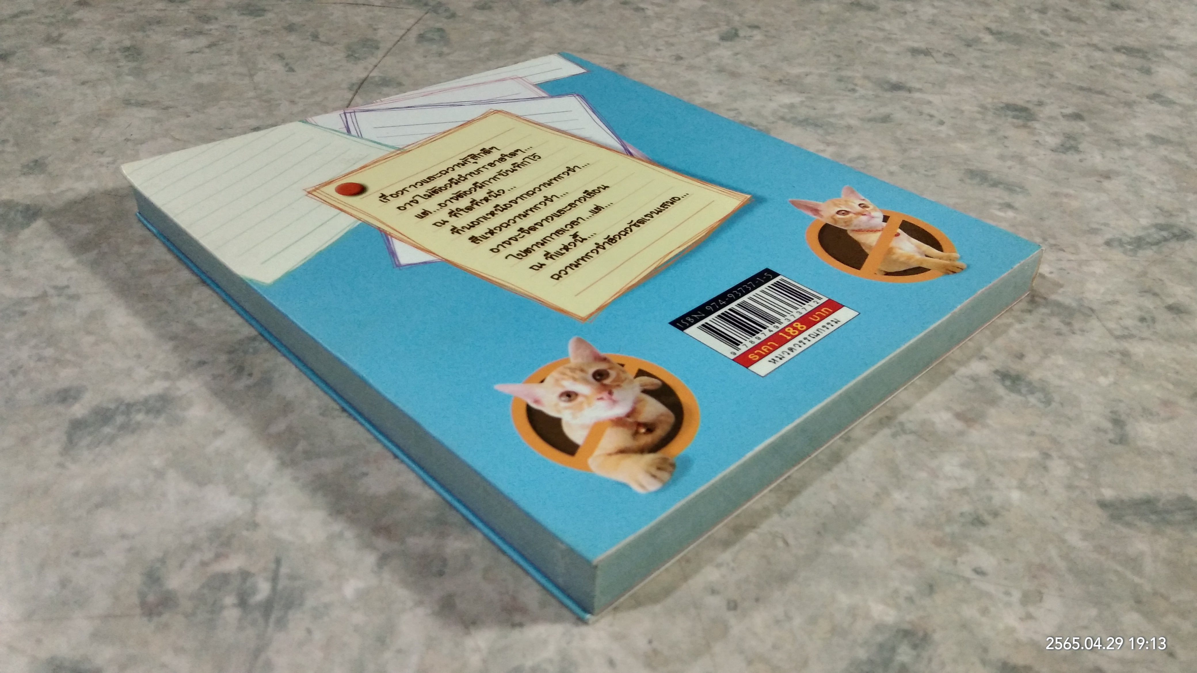 ด้วยรัก...แกมรำคาญ / อะ-นะ-งะ