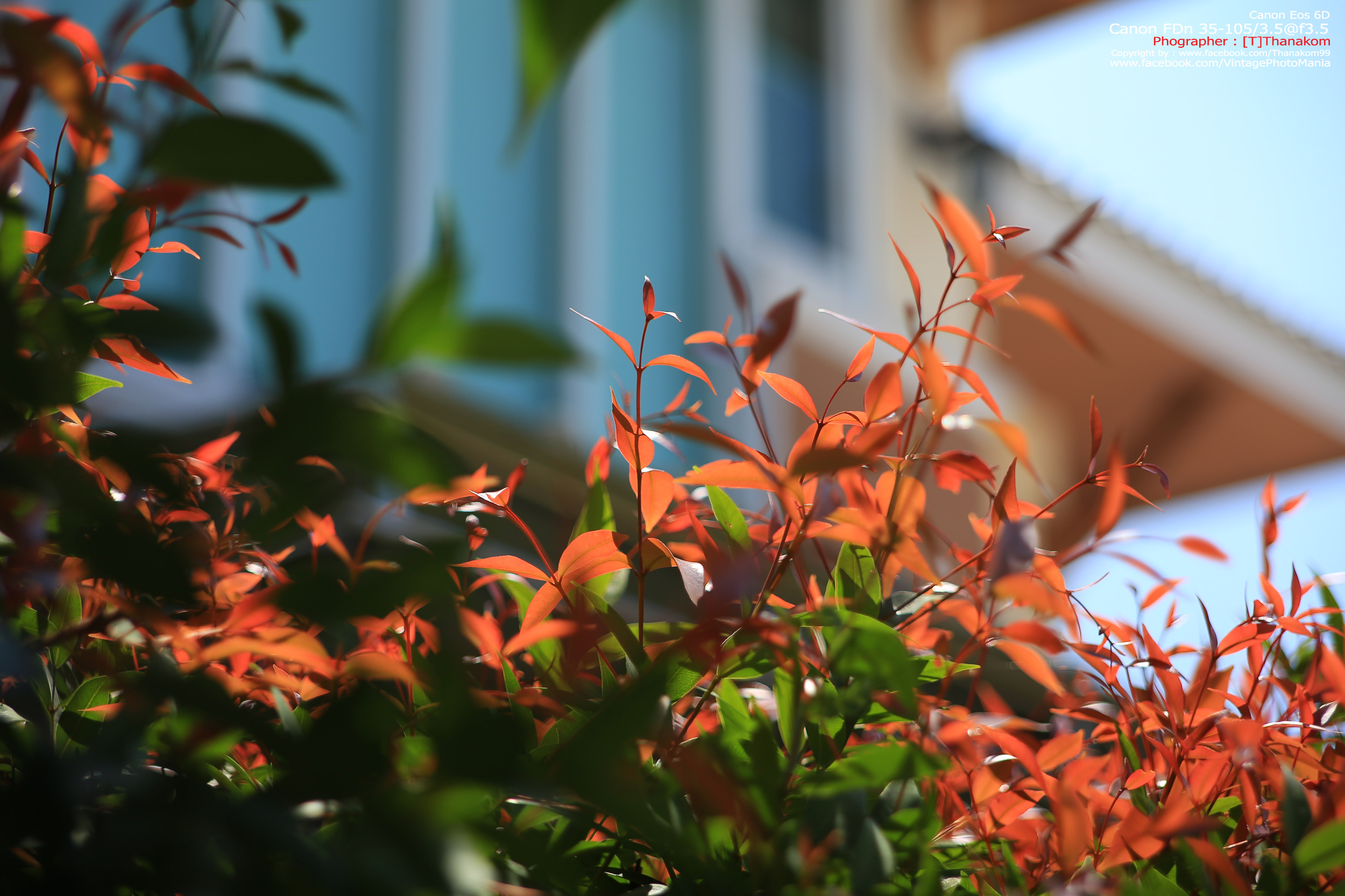 Canon FD 35-105/3.5 *FD Mount เลนส์อเนกประสงค์ไวแสงเอฟไม่ไหล