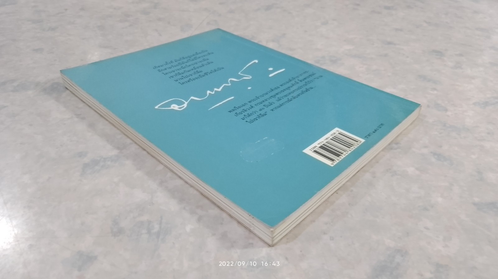 เสด็จเตี่ย "เกิดมาทั้งที มันก็ดีอยู่แต่เมื่อเป็น / ศรัณย์ ทองปาน