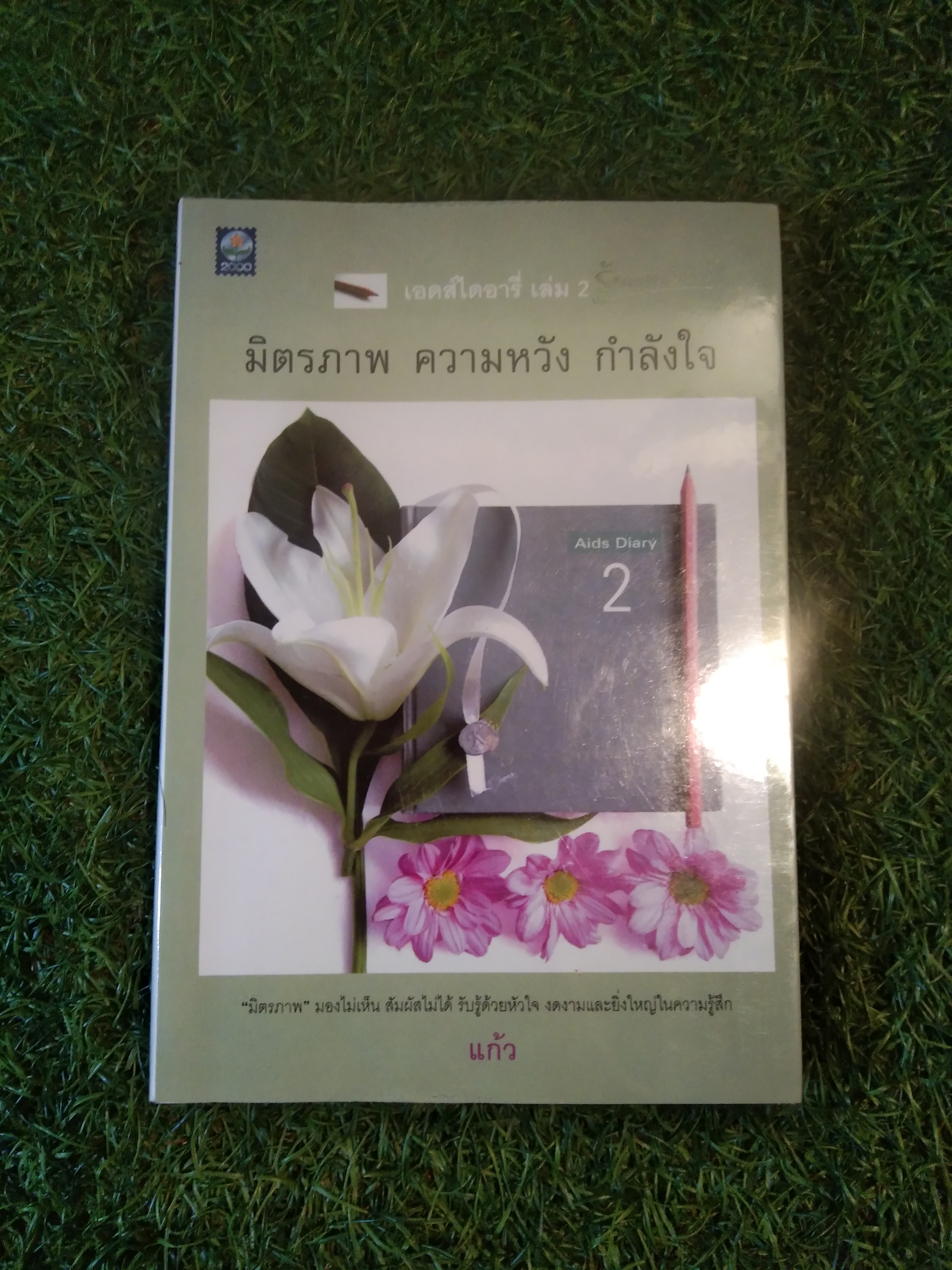 เอดส์ไดอารี่ 2 มิตรภาพ ความหวัง กำลังใจ / (แก้ว)