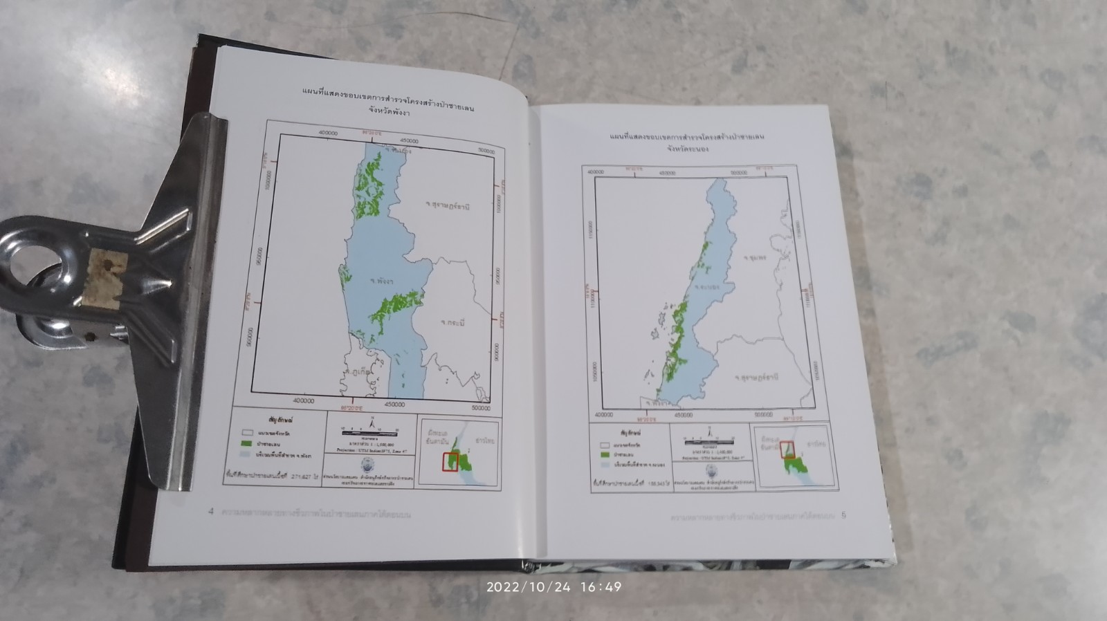 ความหลากหลายทางชีวภาพในป่าชายเลน ภาคใต้ตอนบน