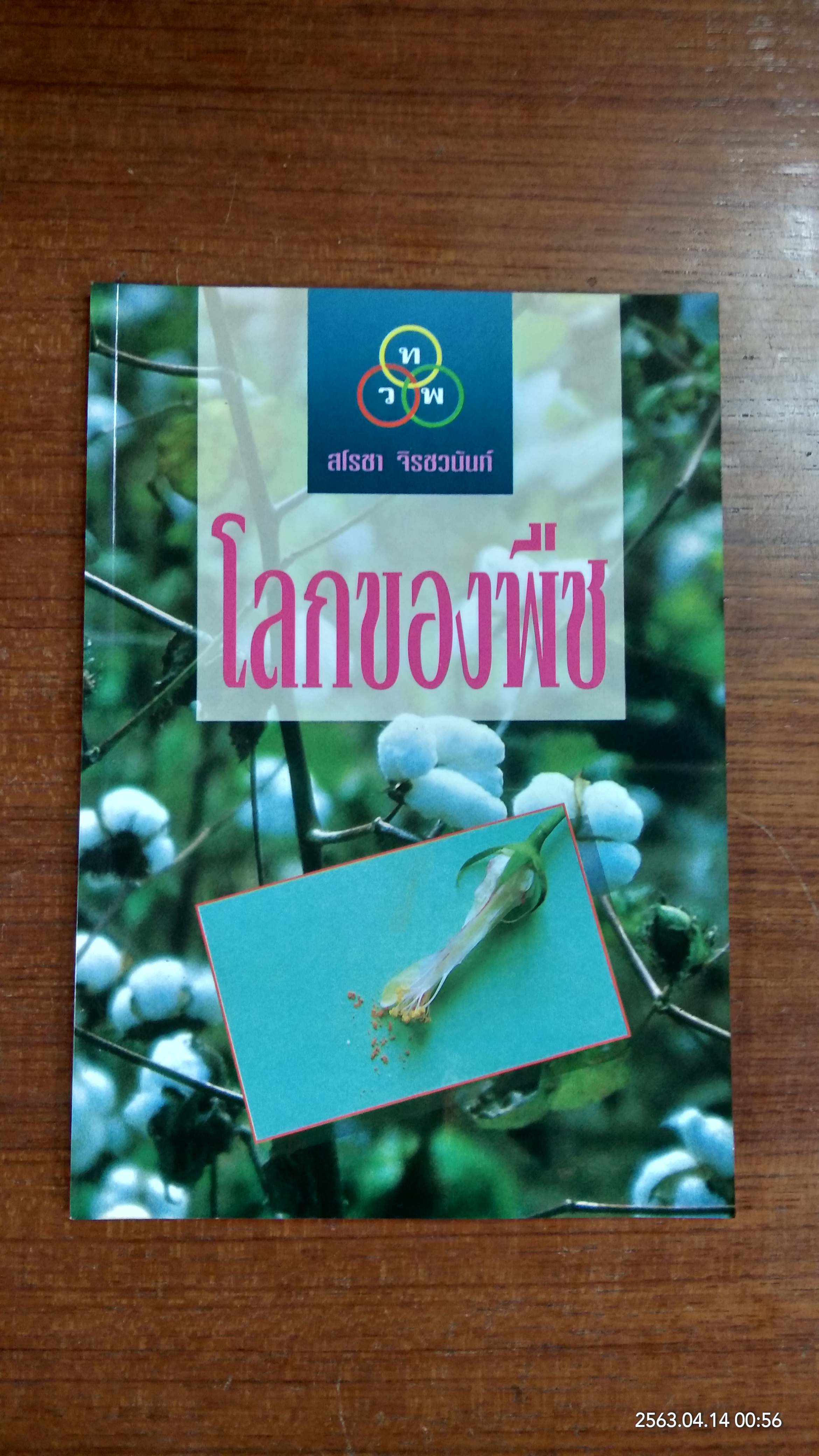 โลกของพืช / สโรชา จิรชวนันท์