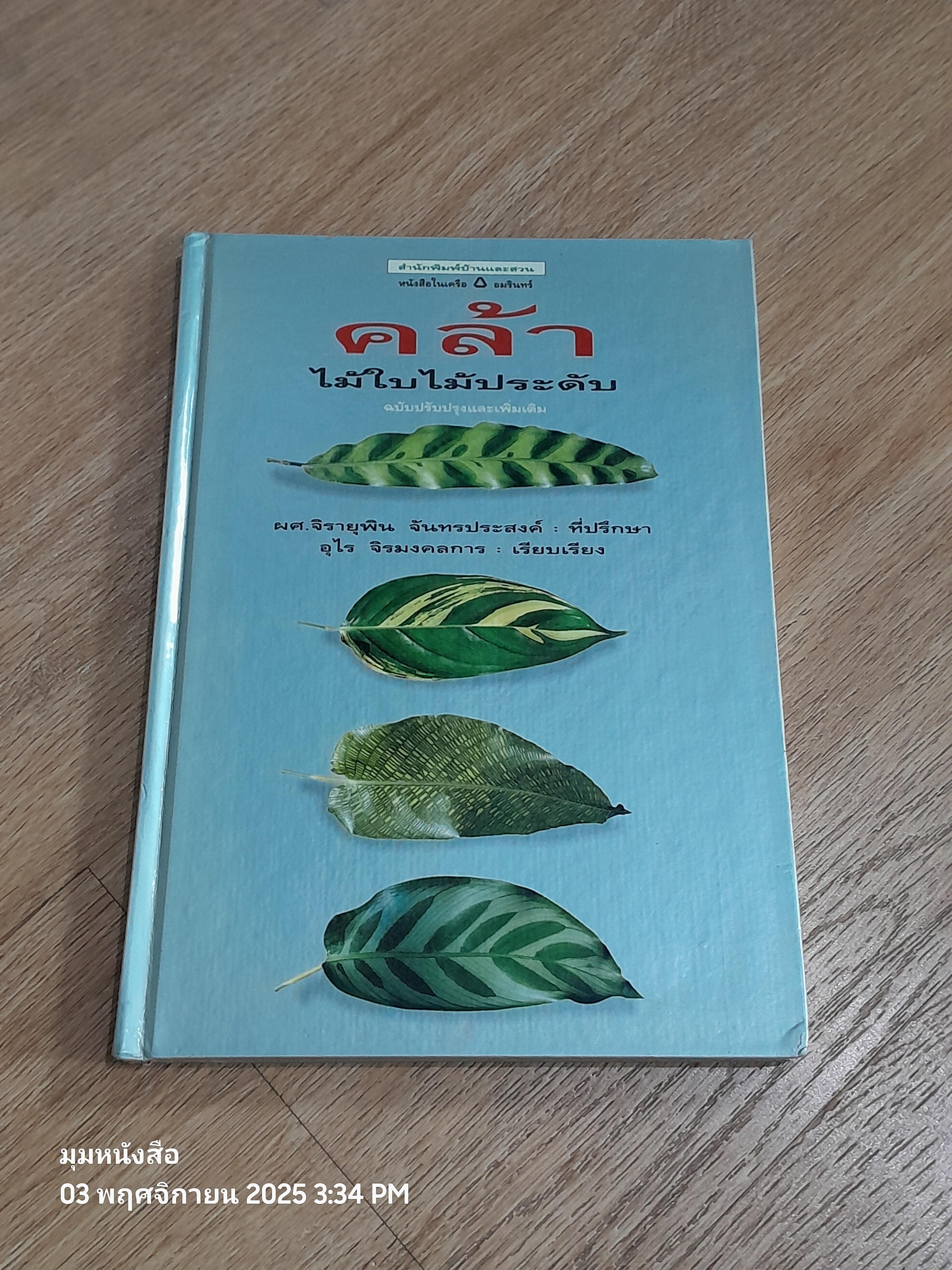คล้า : ไม้ใบไม้ประดับ