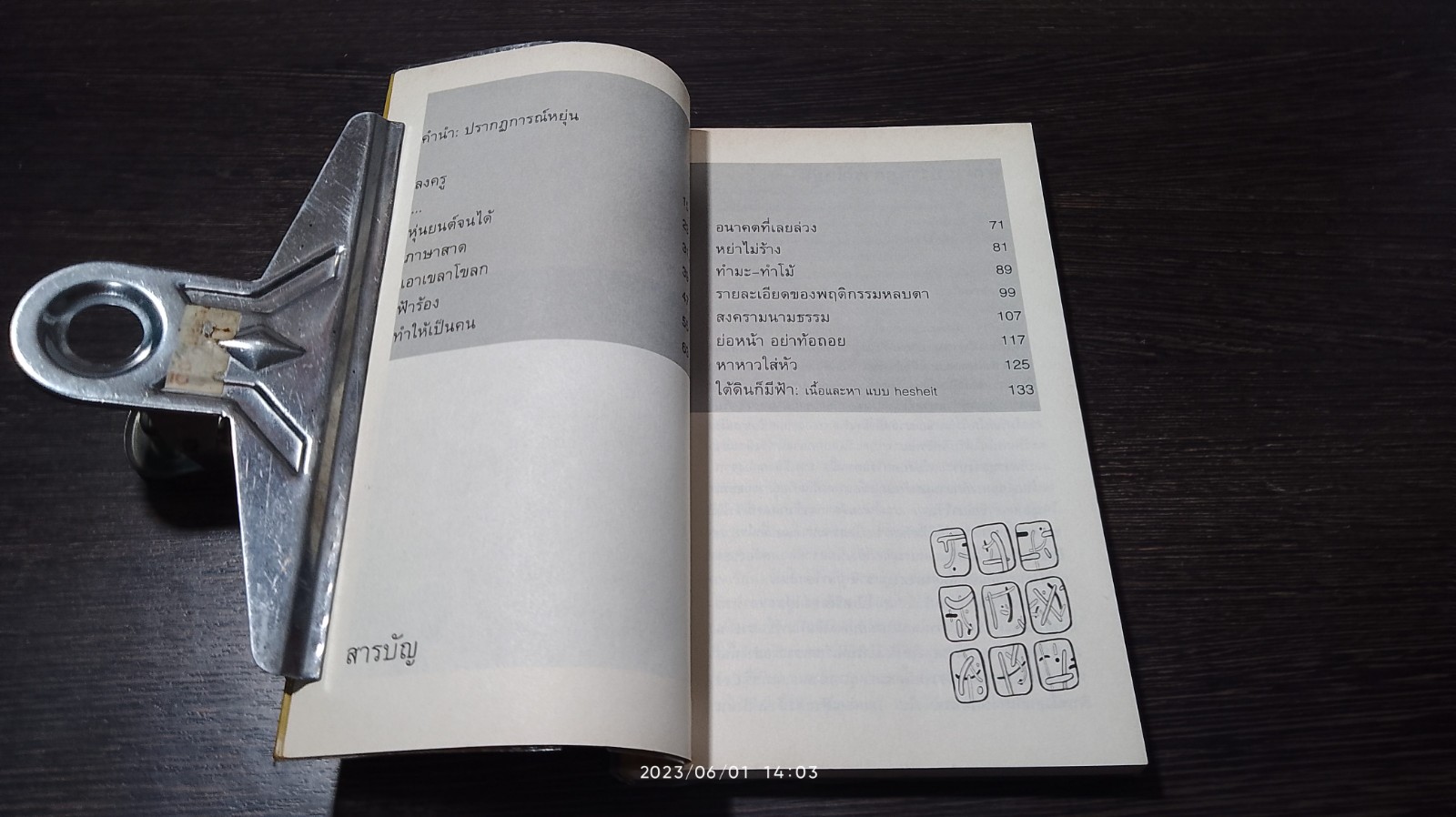 อย่าอ่านเลยก็แล้วกัน / ปราบดา หยุ่น