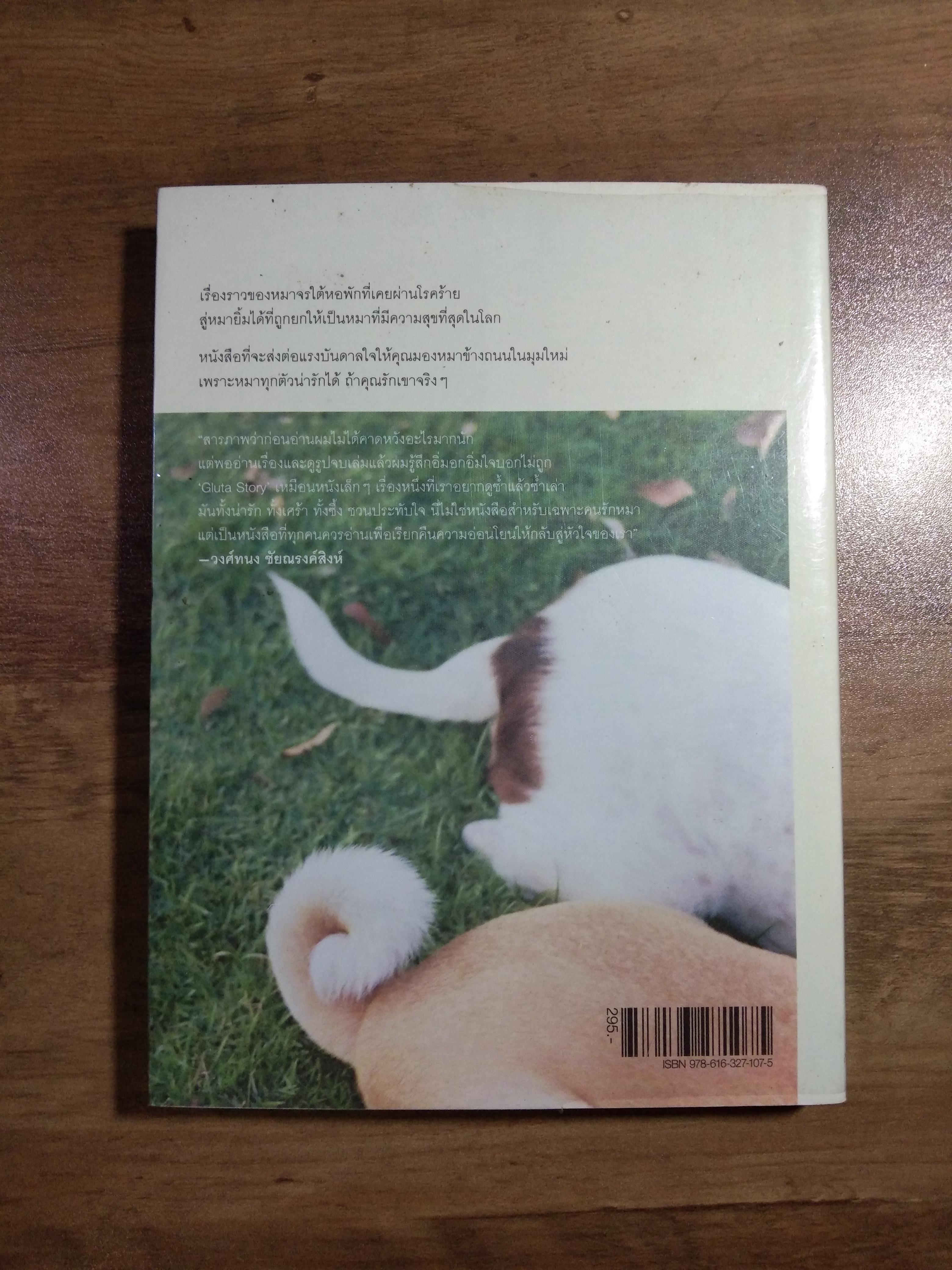 Gulta story เรื่องเล่าหลังฝนซา ของหใาหลงทาง / สรศาสตร์ วิเศษสินธุ์