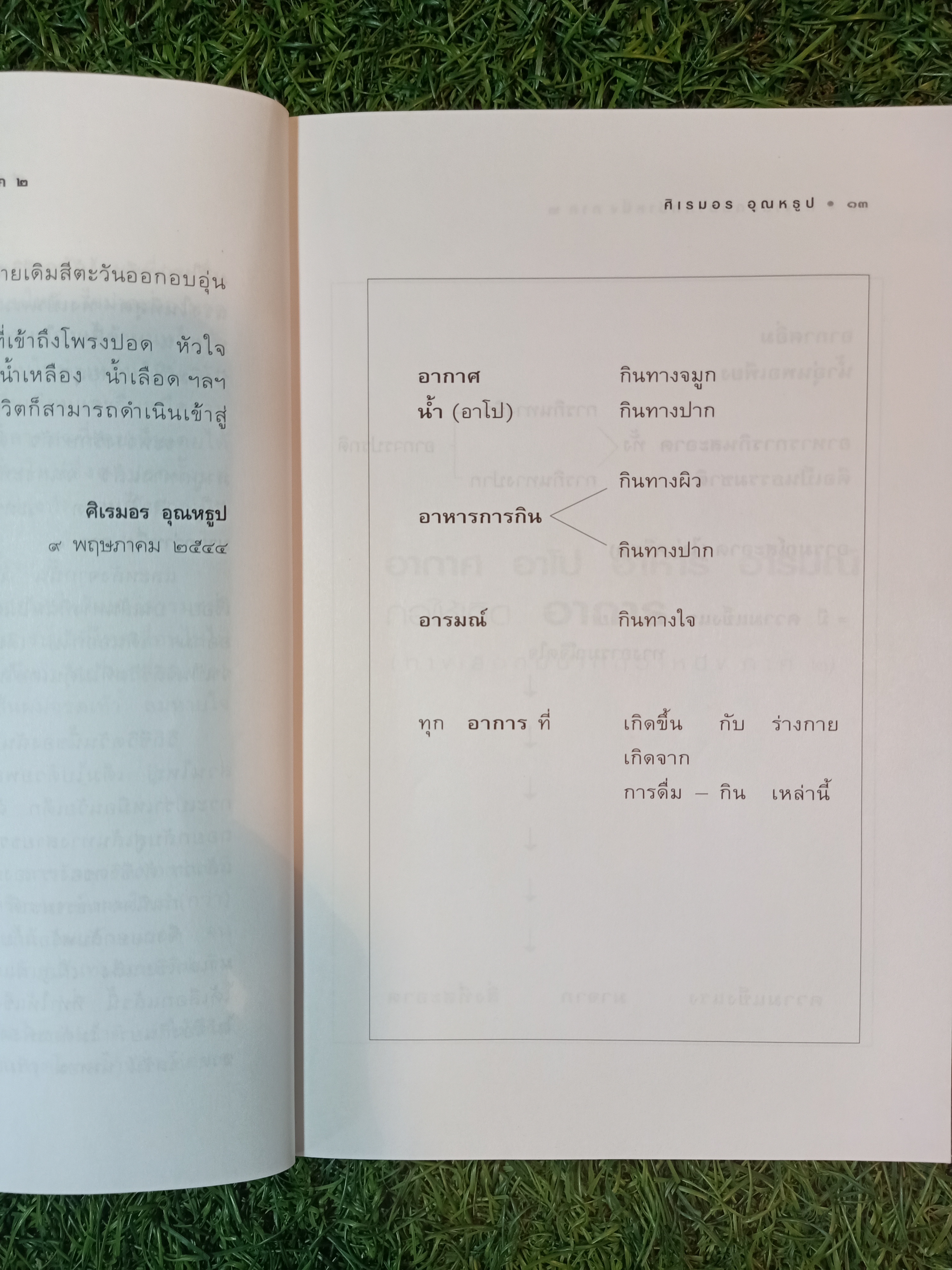 อากาศ อาโป อาหาร อารมณ์ ก่อให้เกิดอาการ ทางเลือกมีมากกว่าหนึ่ง (ภาค๒) / ศิเรมอร อุณหธูป