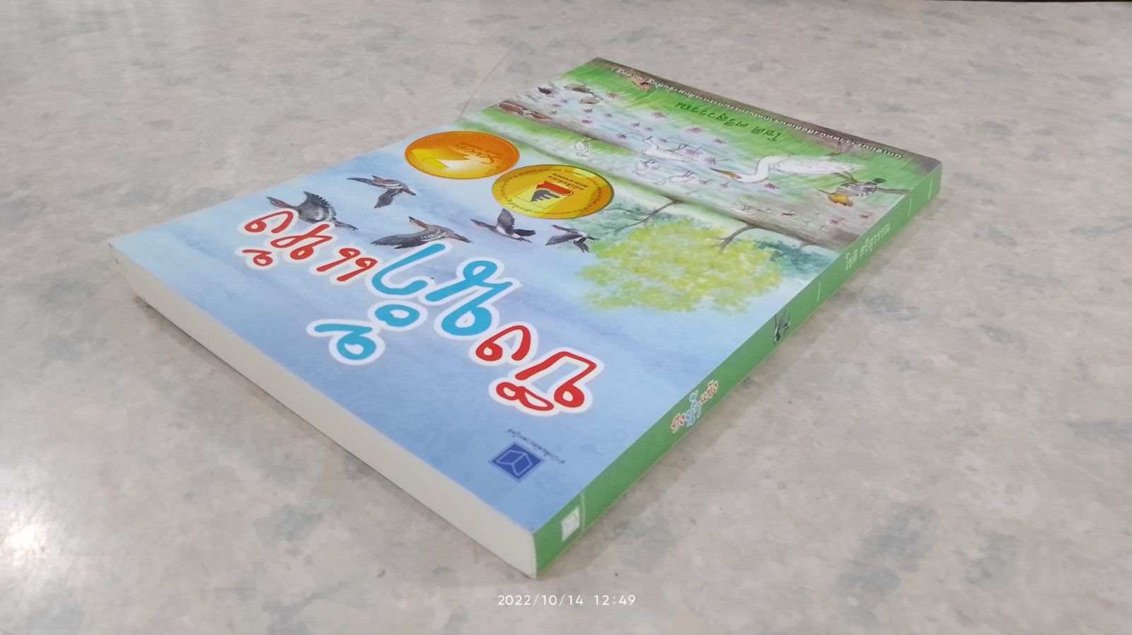 บึงน้ำแห้ง / โชติ ศรีสุวรรณ