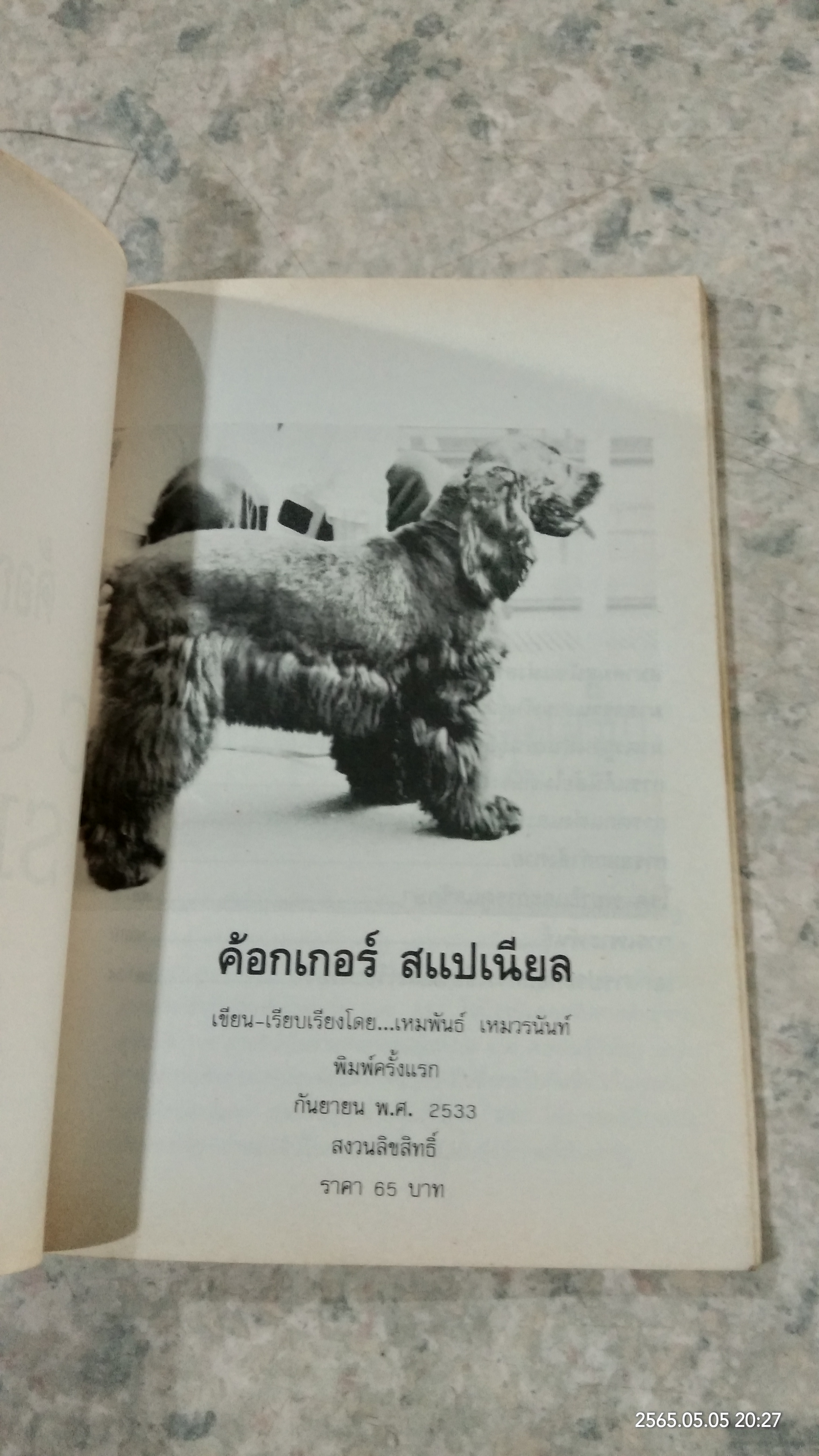 ค้อกเกอร์ สแปเนียล / เหมพันธ์ เหมวรนันท์