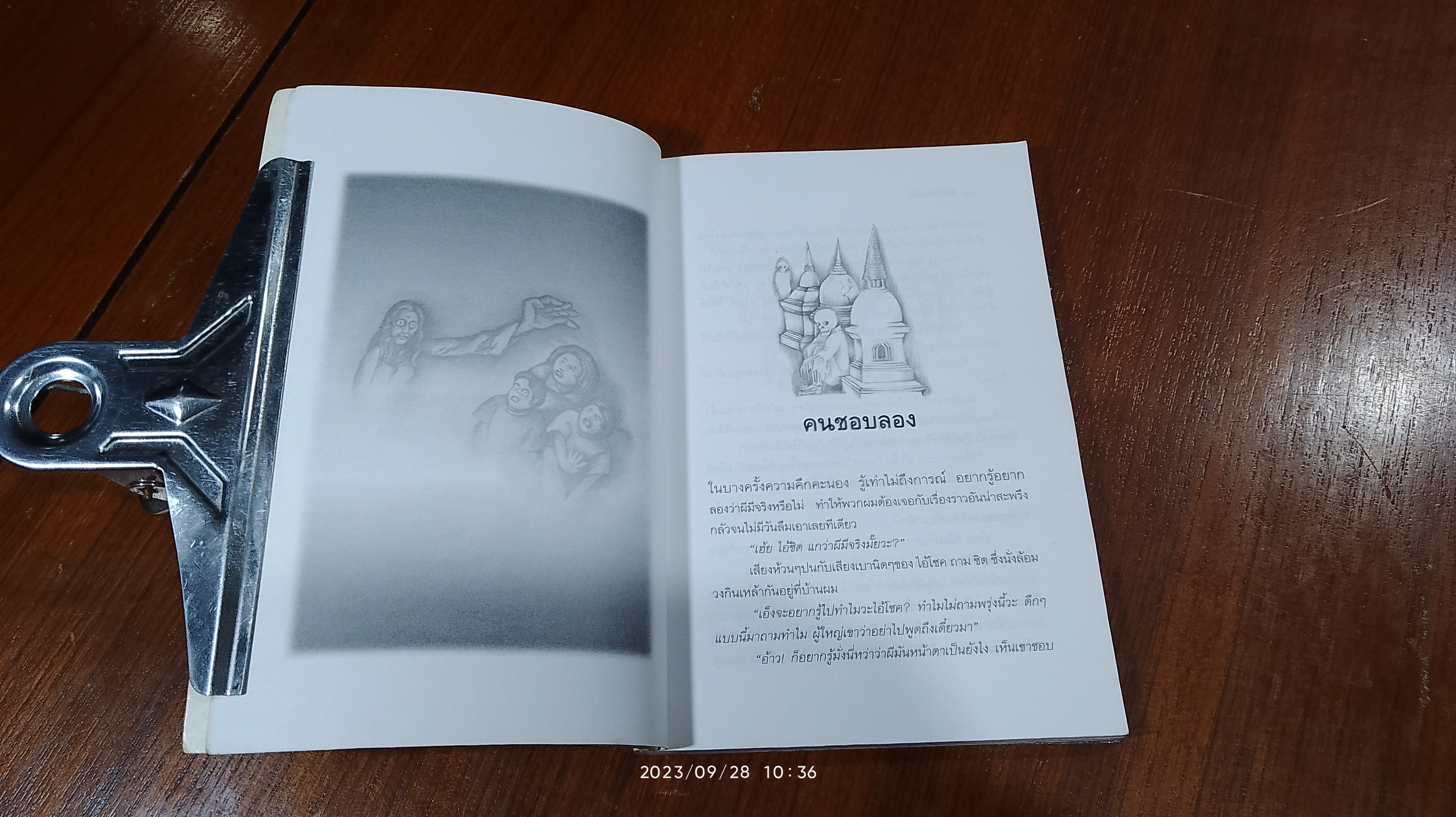 ผีที่ได้พบเห็น / เทอดธรรม แสงทิพย์